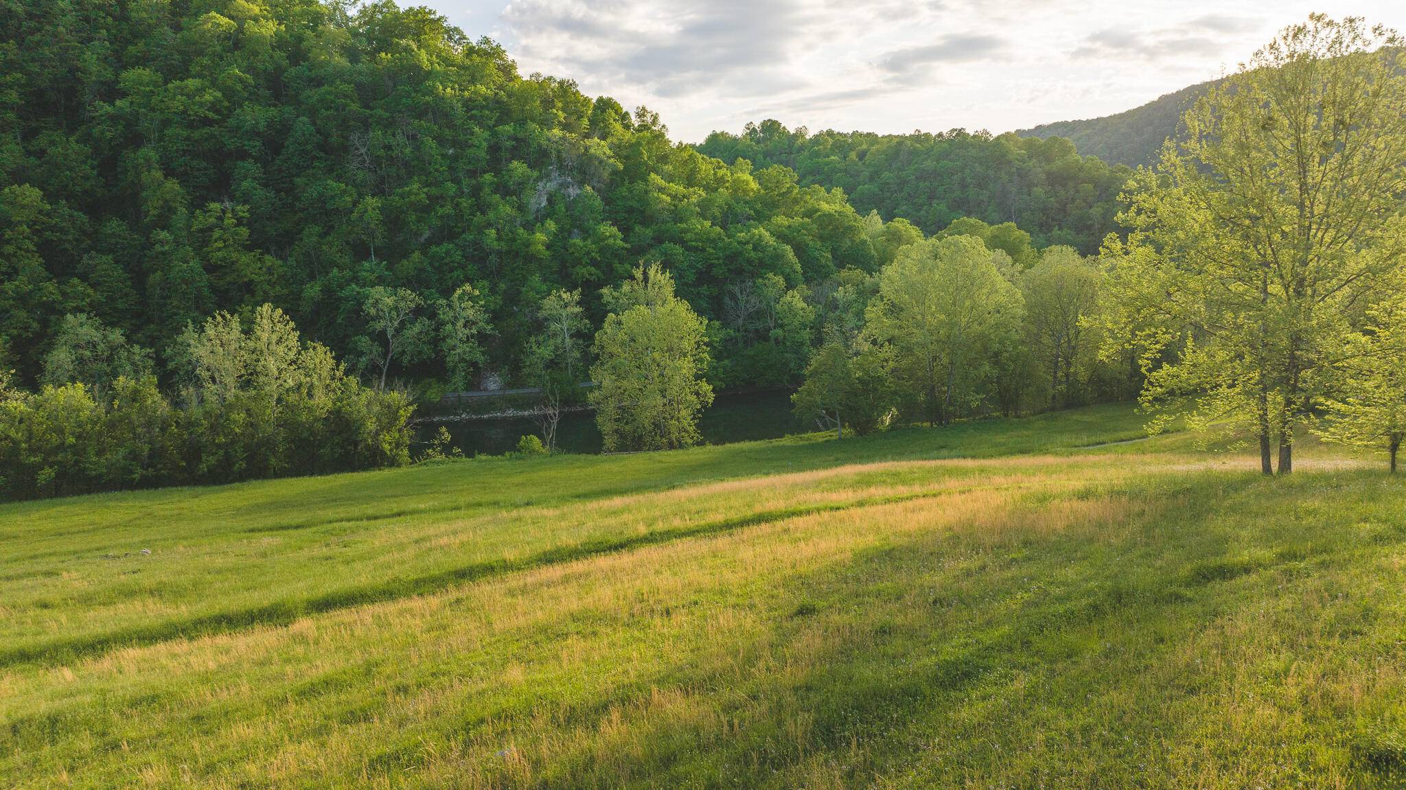 Eidson, TN 37731,12R Big Springs RD