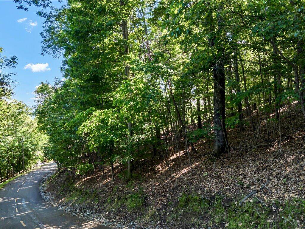 Mooresburg, TN 37811,1202 Keetoowah DR