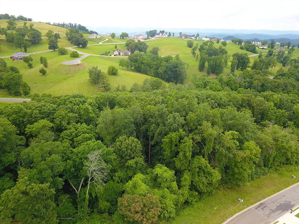 Morristown, TN 37814,Lot 16 Bridgewater BLVD