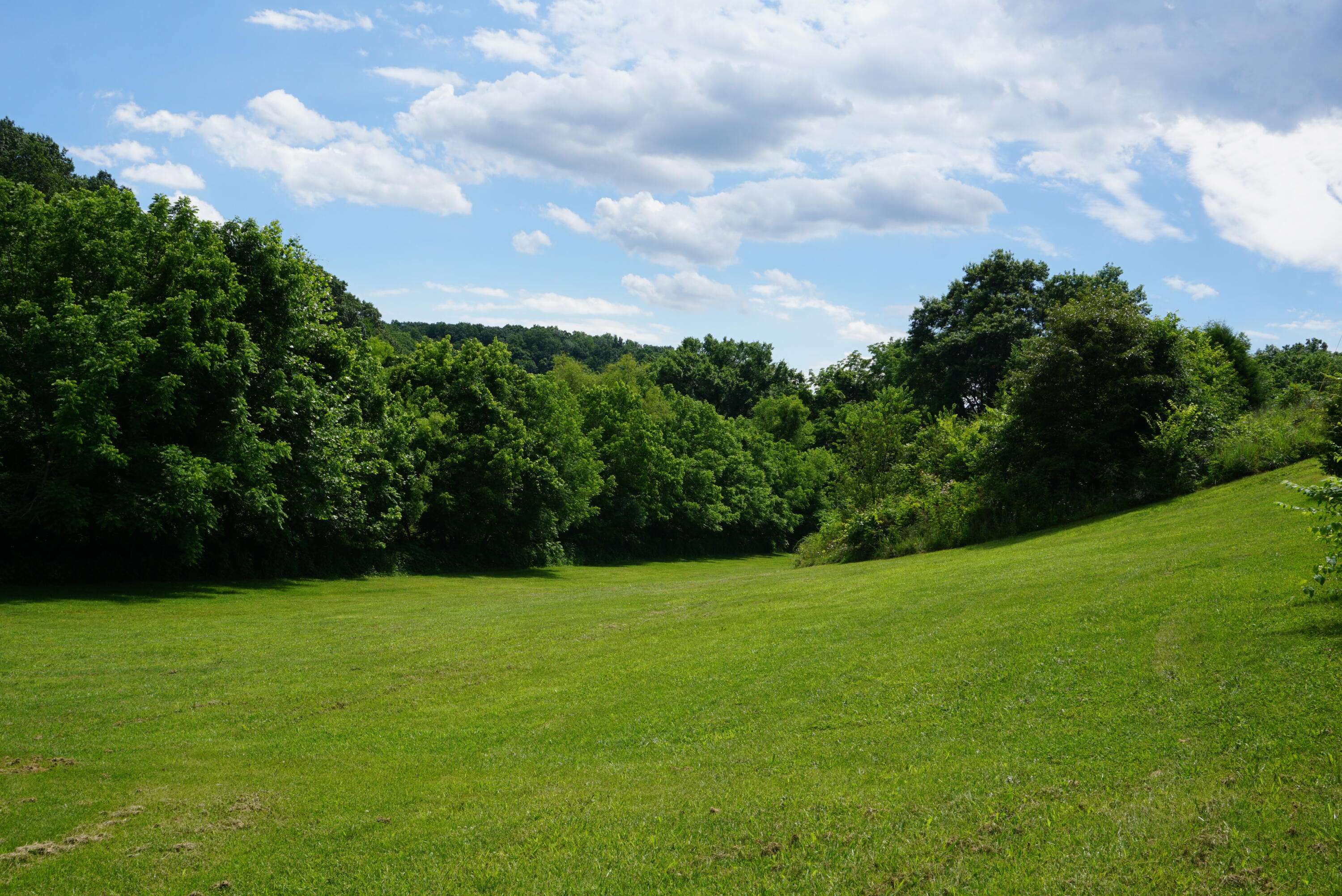 Parrottsville, TN 37843,2233 Sinking Creek RD