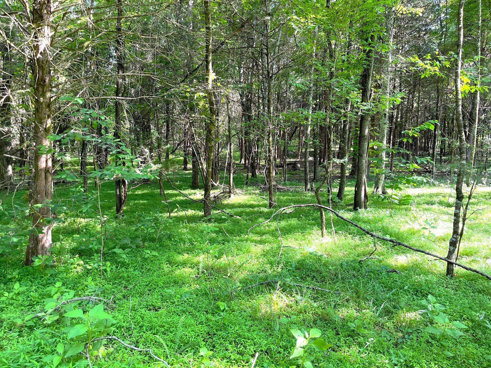 White Pine, TN 37890,Lot 1027 Mountain View LN