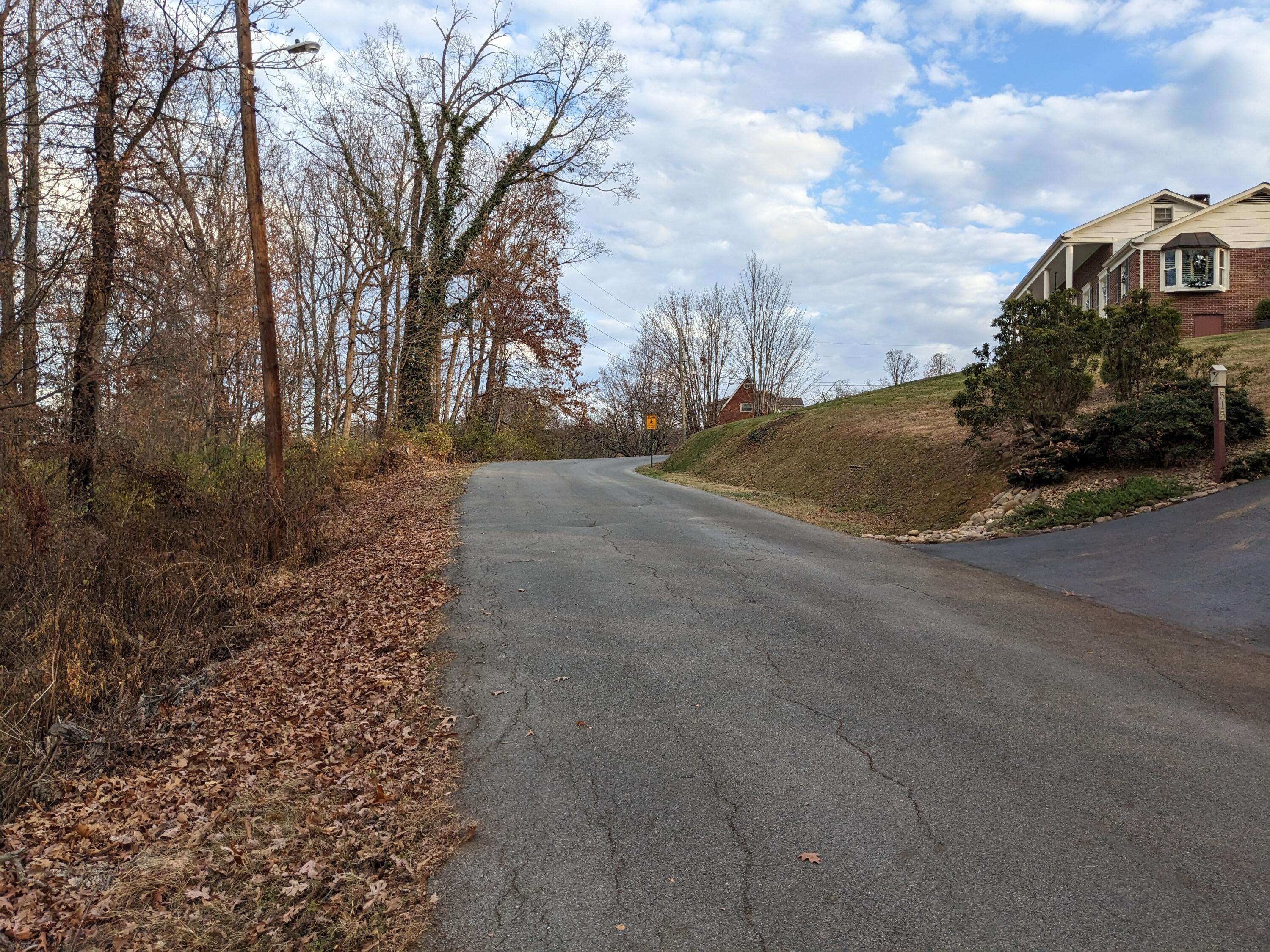 Newport, TN 37821,Lot 44 Cliffwood DR