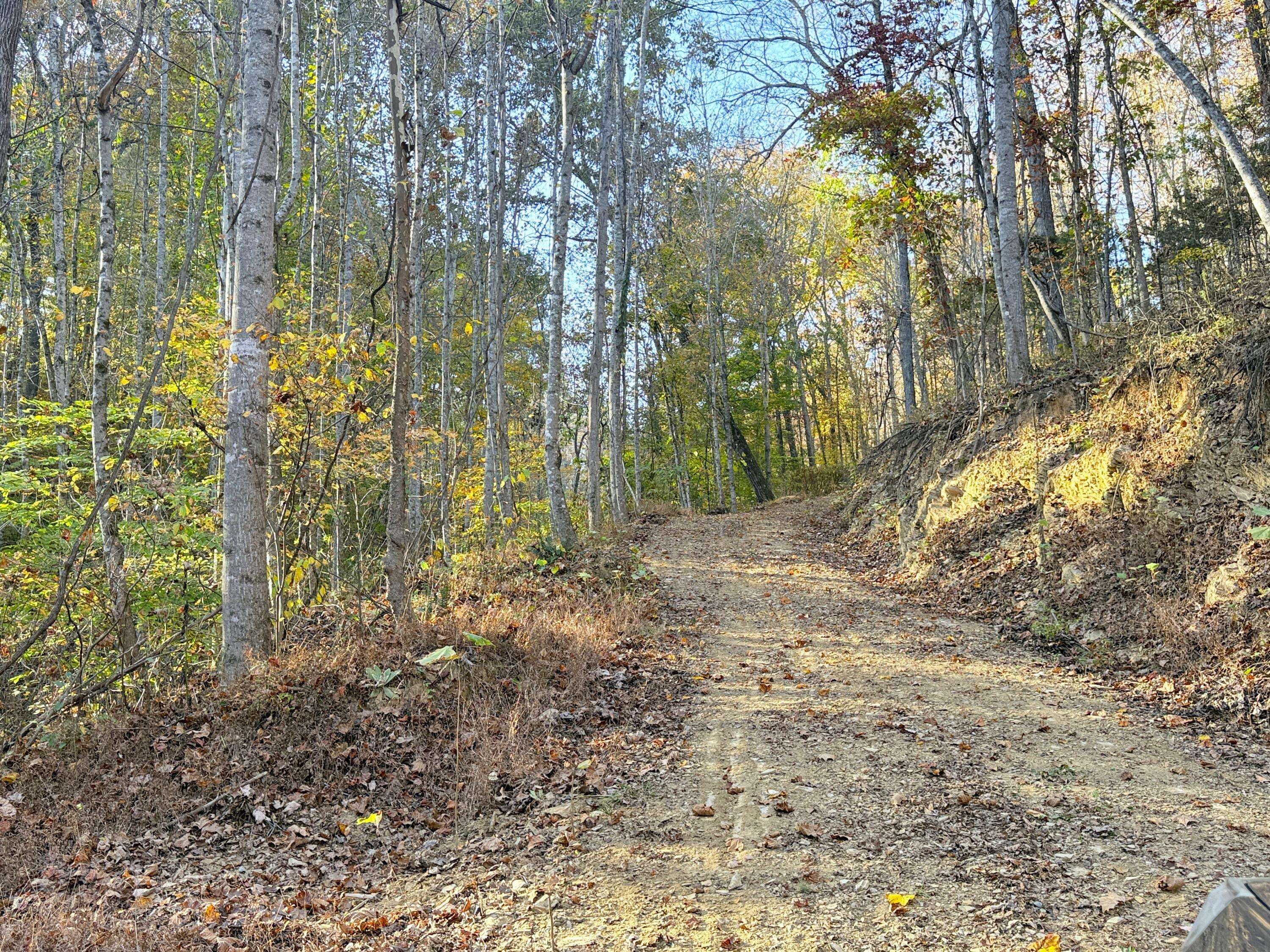 Parrottsville, TN 37843,Tract 9 Topaz WAY