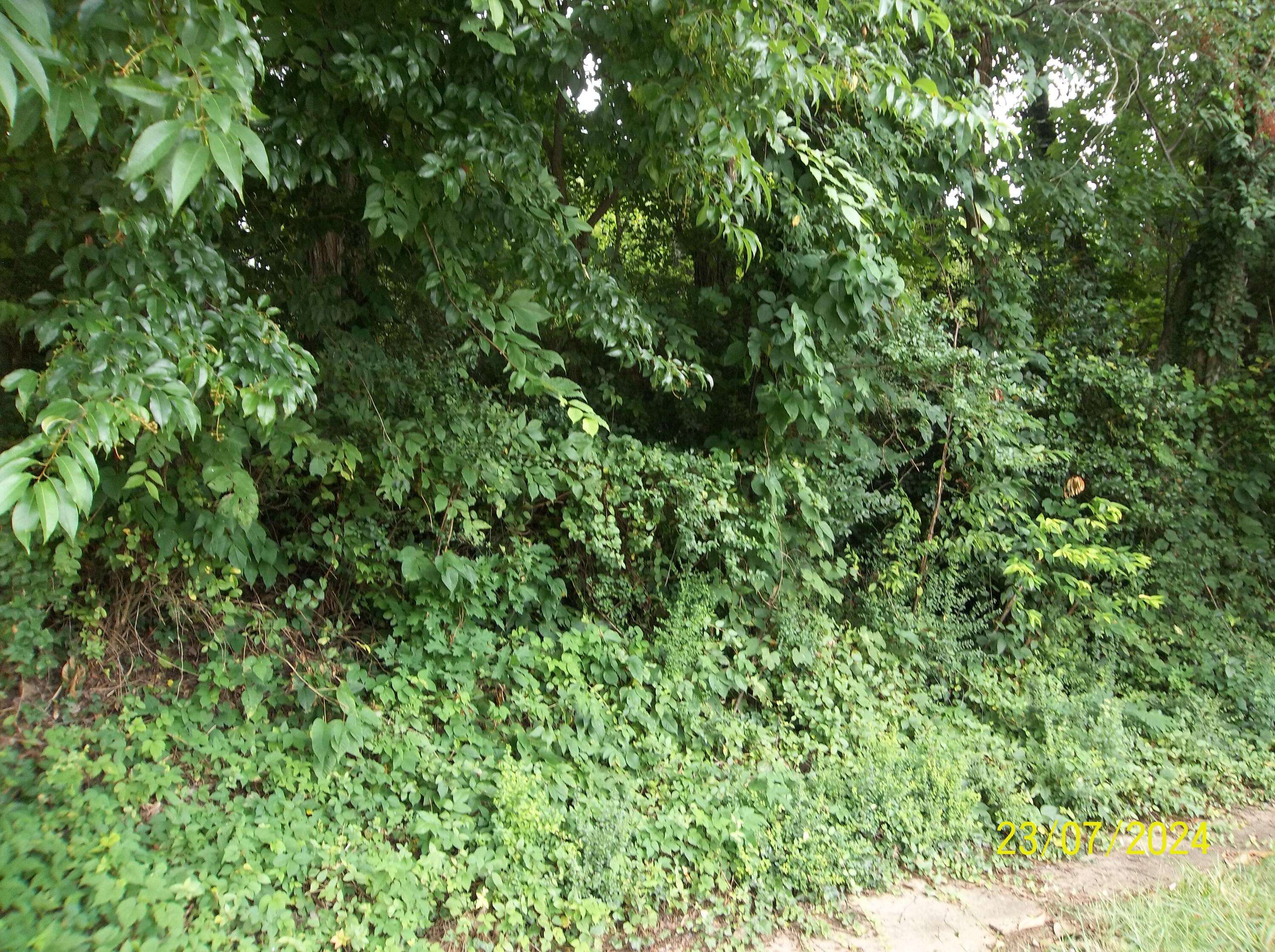 Kingsport, TN 37660,00 Bays View RD