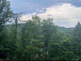 Hartford, TN 37753,4610 Tanglewood Way