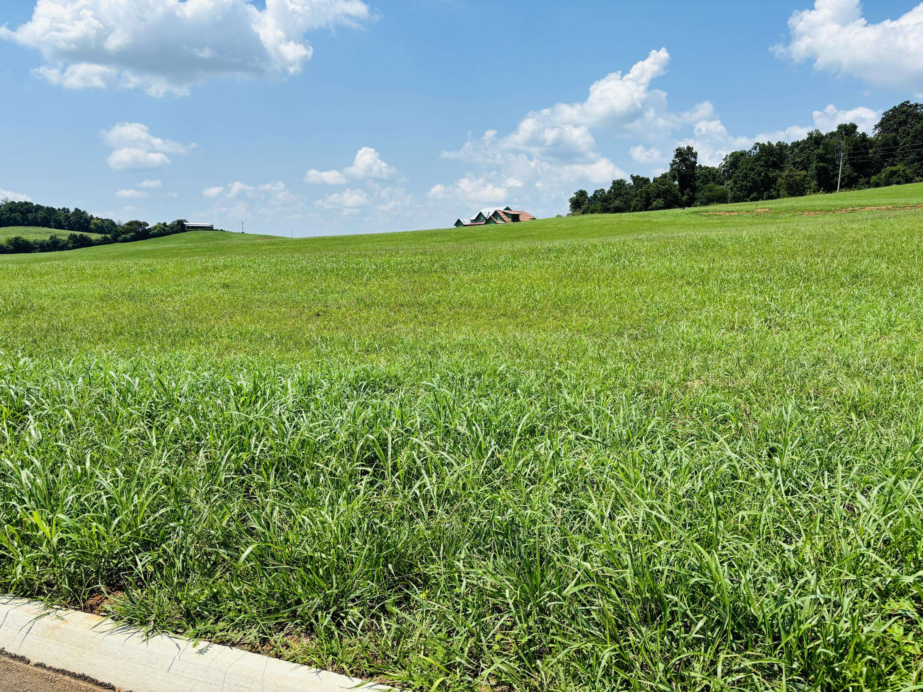 White Pine, TN 37890,Lot 79 Meadow Vista Way