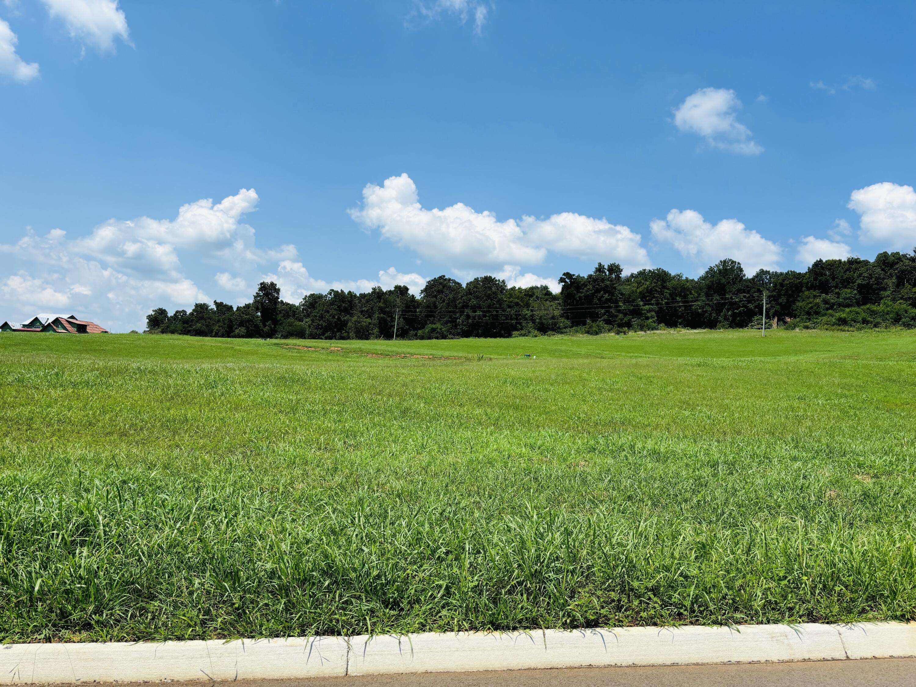 White Pine, TN 37890,Lot 79 Meadow Vista Way