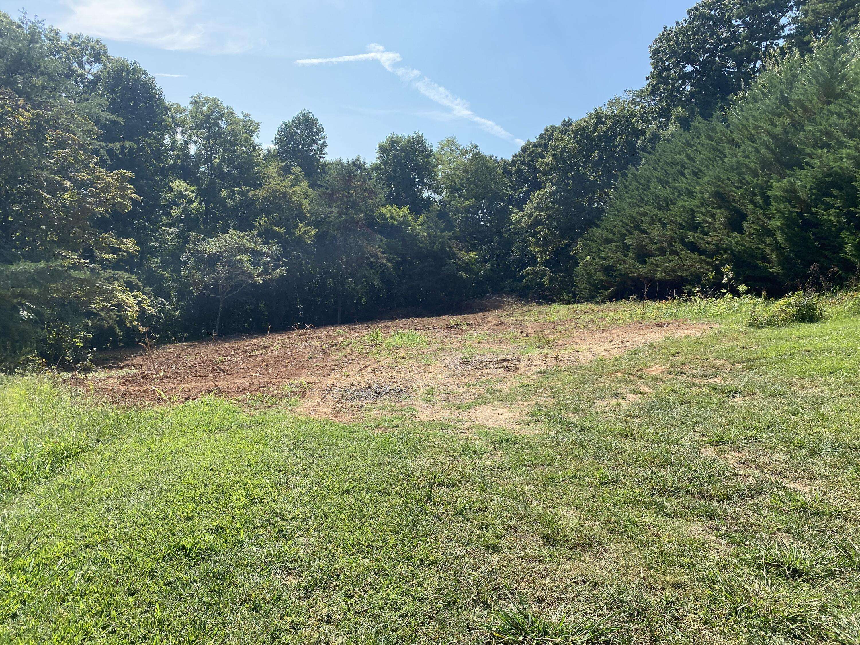 Jefferson City, TN 37760,Lot 1 Independence DR