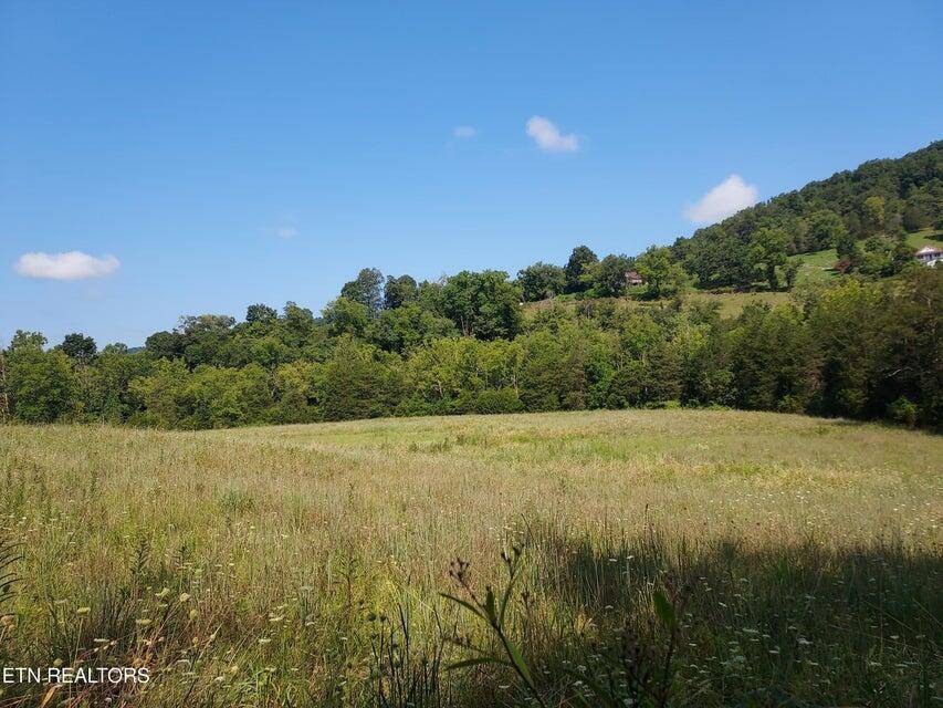 Thorn Hill, TN 37881,TBD PawPaw RD