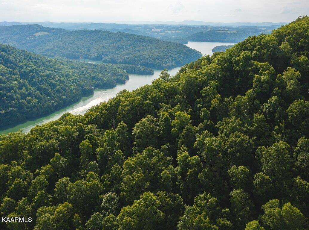 New Tazewell, TN 37825,Lot 655 Chimney Rock RD