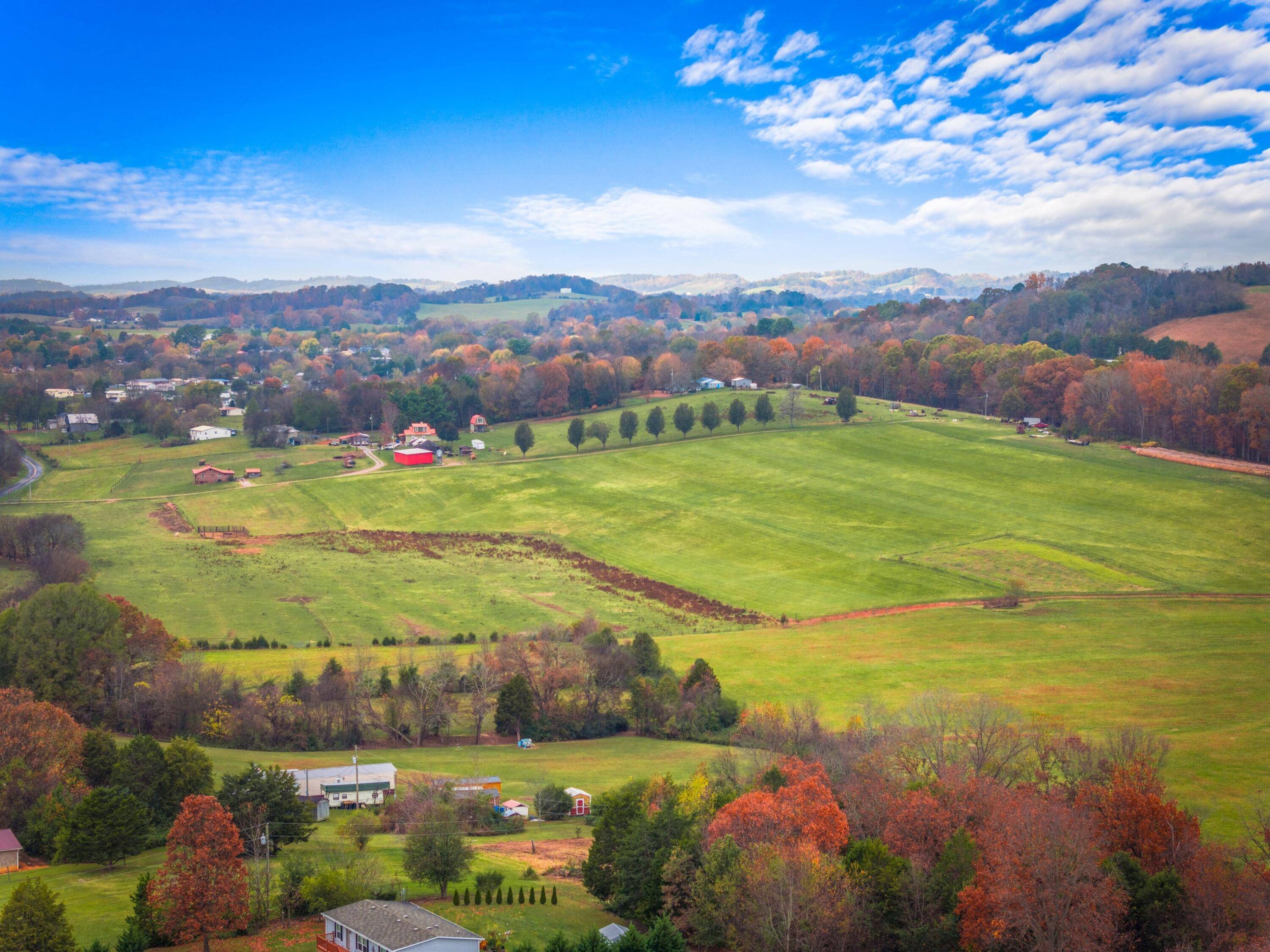 White Pine, TN 37890,Lot 5 White Birch RD