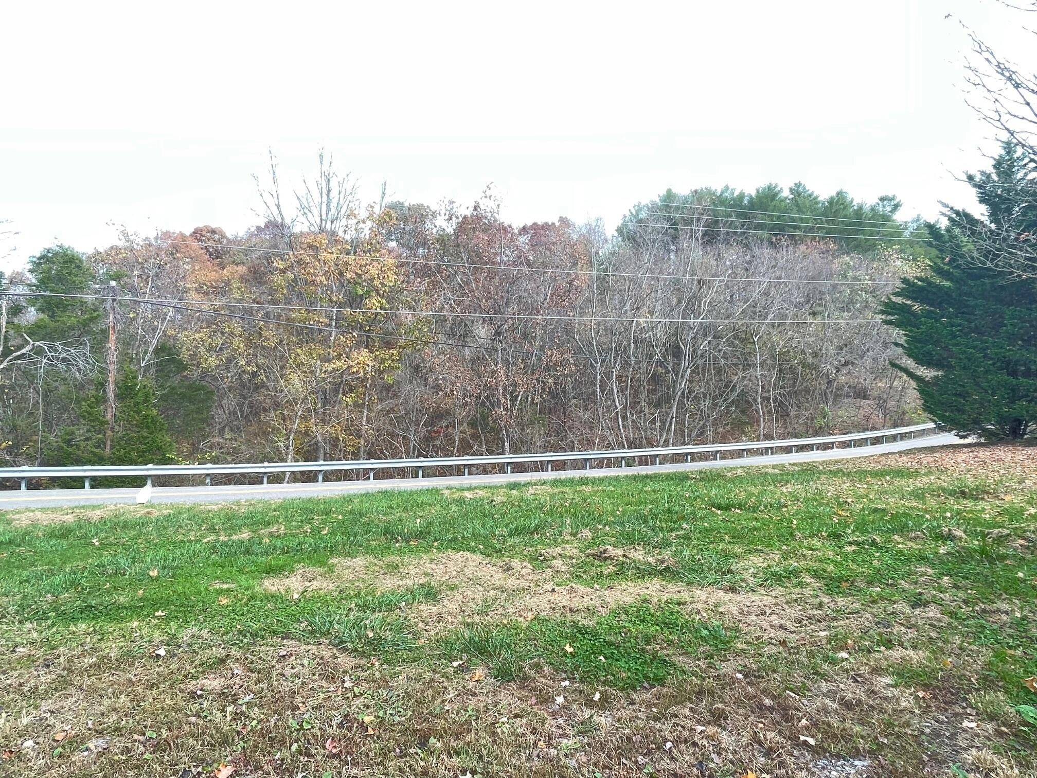 Piney Flats, TN 37686,1917 Allison Road