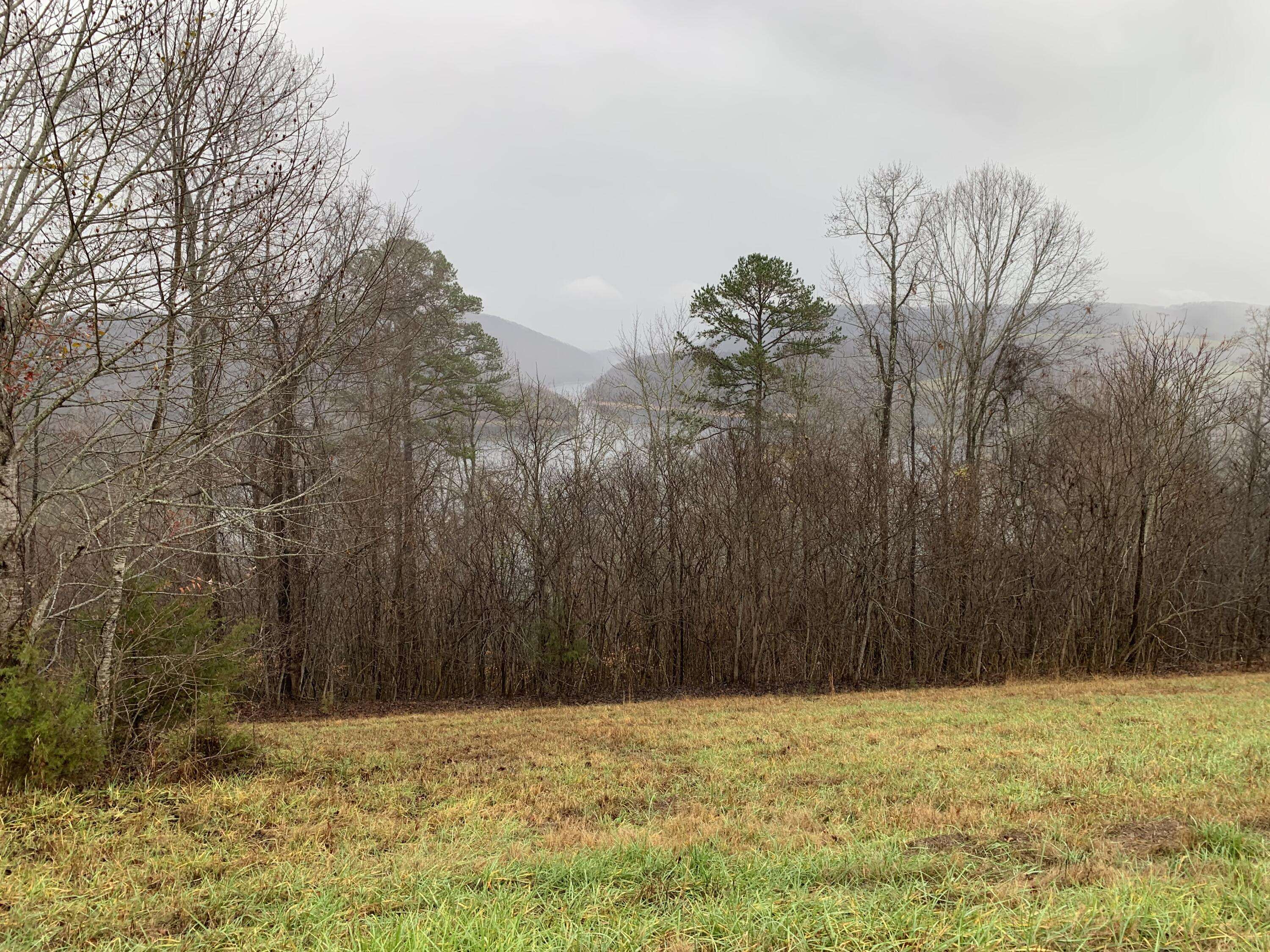 New Tazewell, TN 37825,Lot 321 Sapphire CT