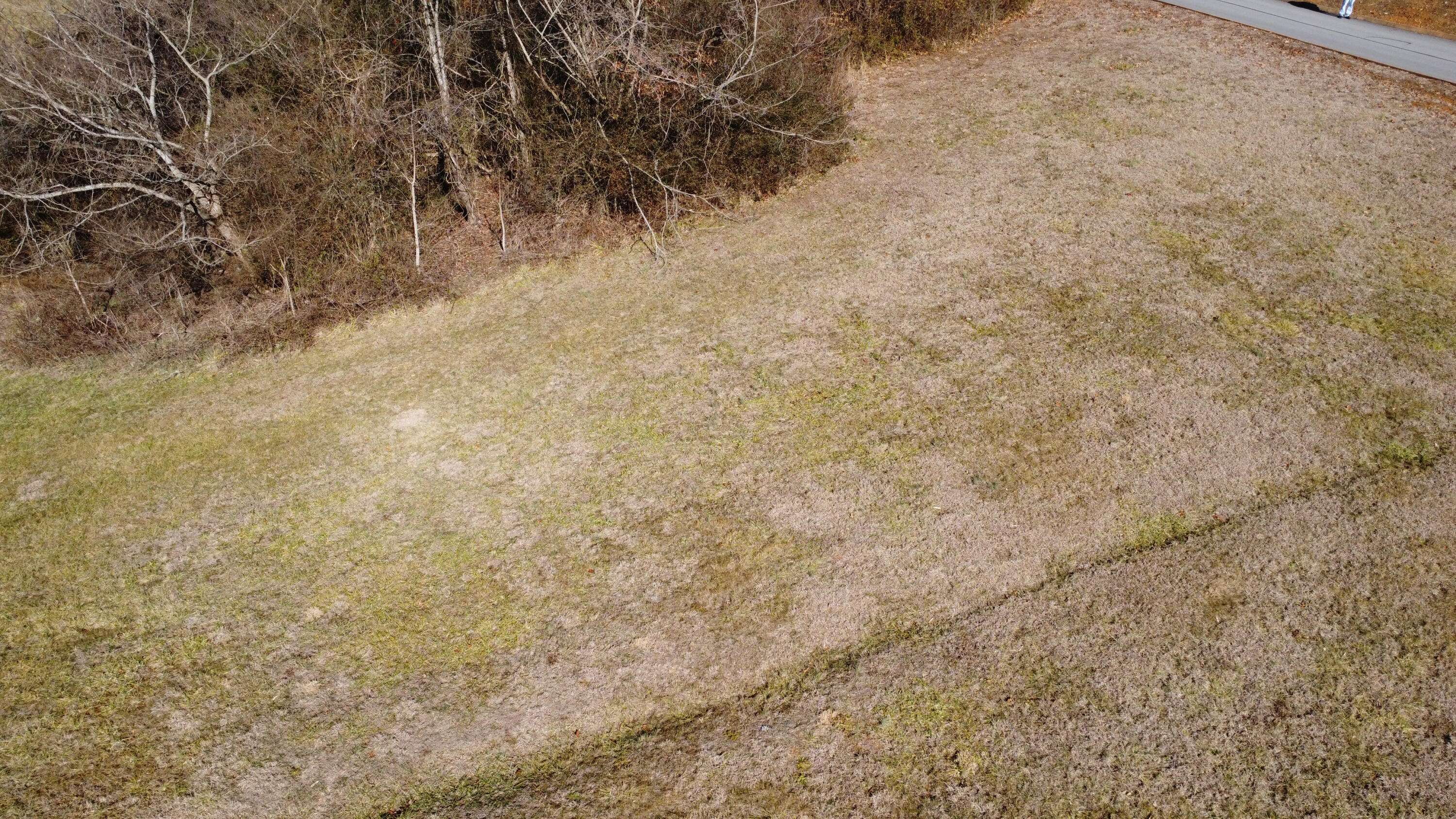 Rutledge, TN 37861,Lot 43 Shiloh Springs Rd RD