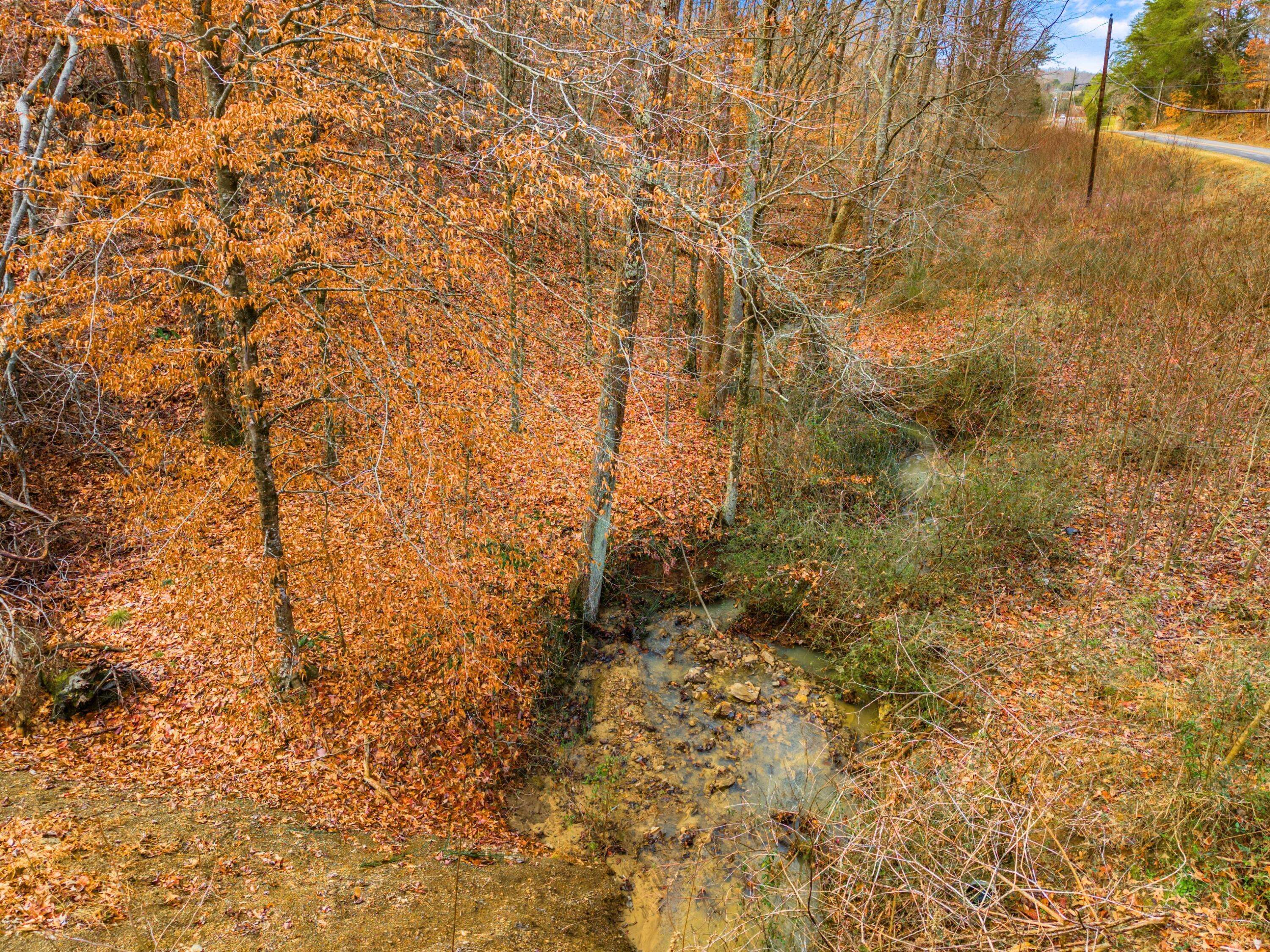 Dandridge, TN 37725,0000 Sandy Ridge RD