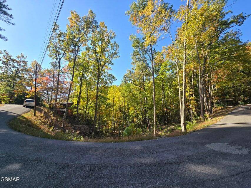 Gatlinburg, TN 37738,Lot 6 Scenic Trail