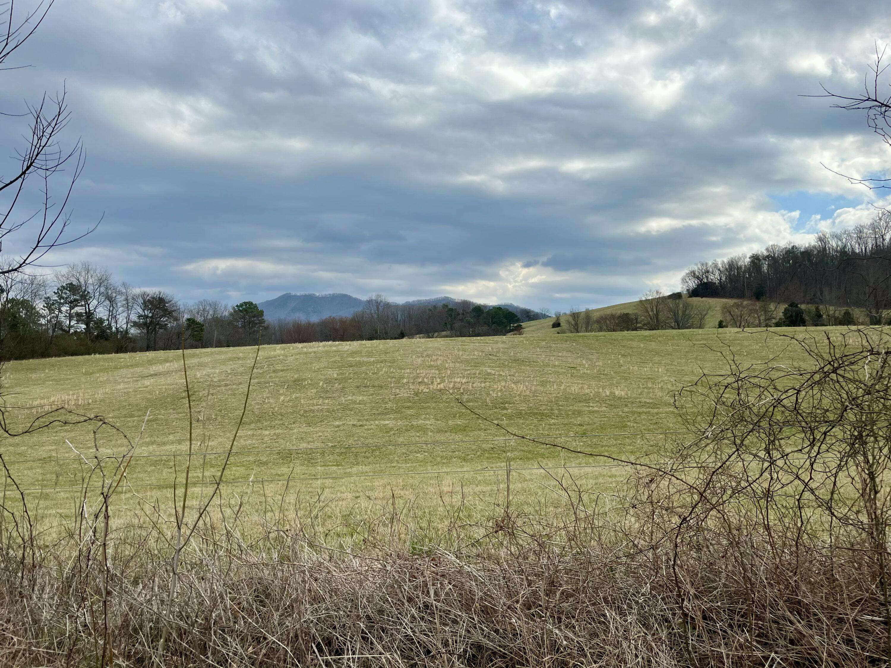 Newport, TN 37821,378 Rocky Top RD