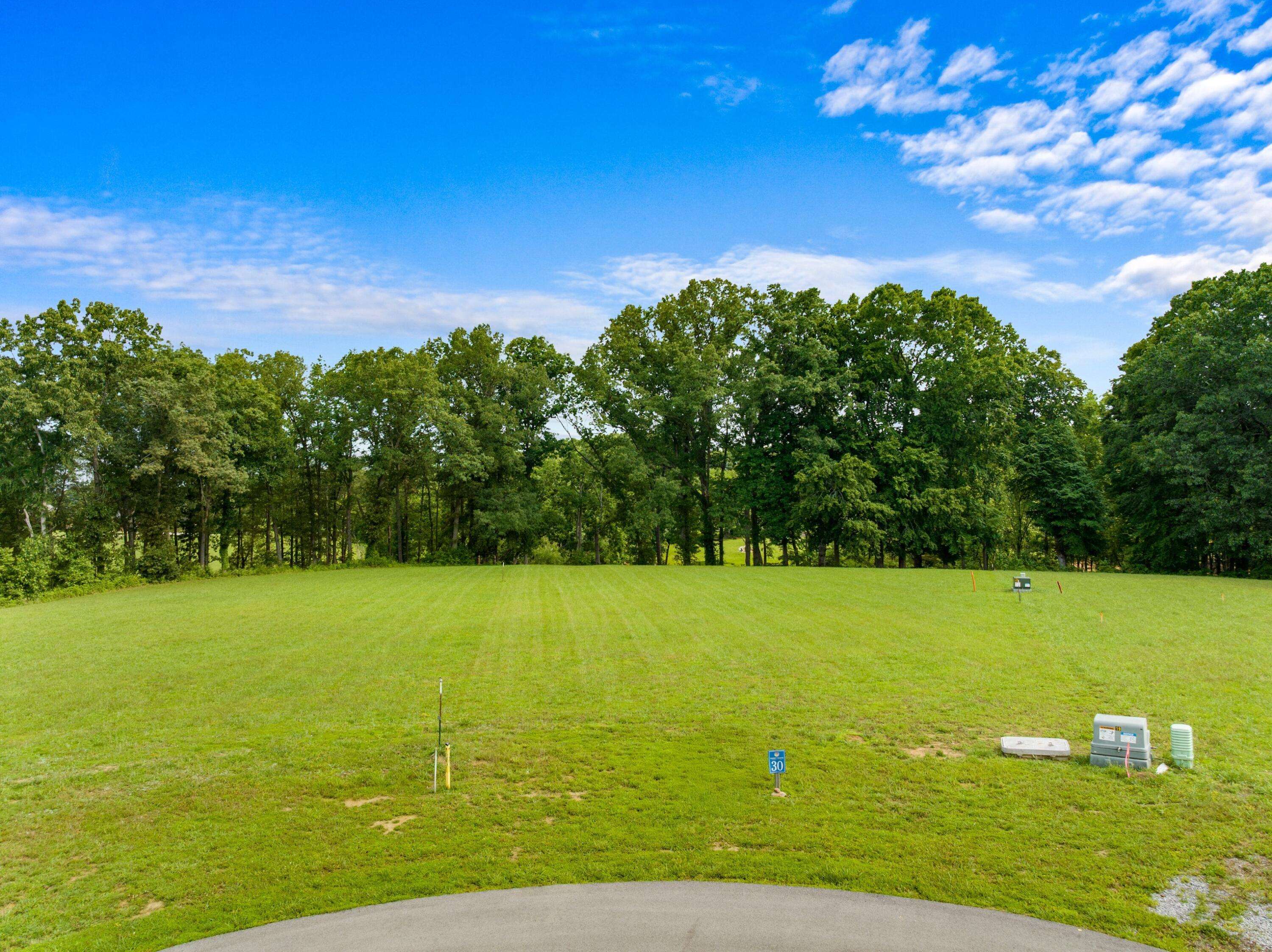 White Pine, TN 37890,418 Nightfall LN