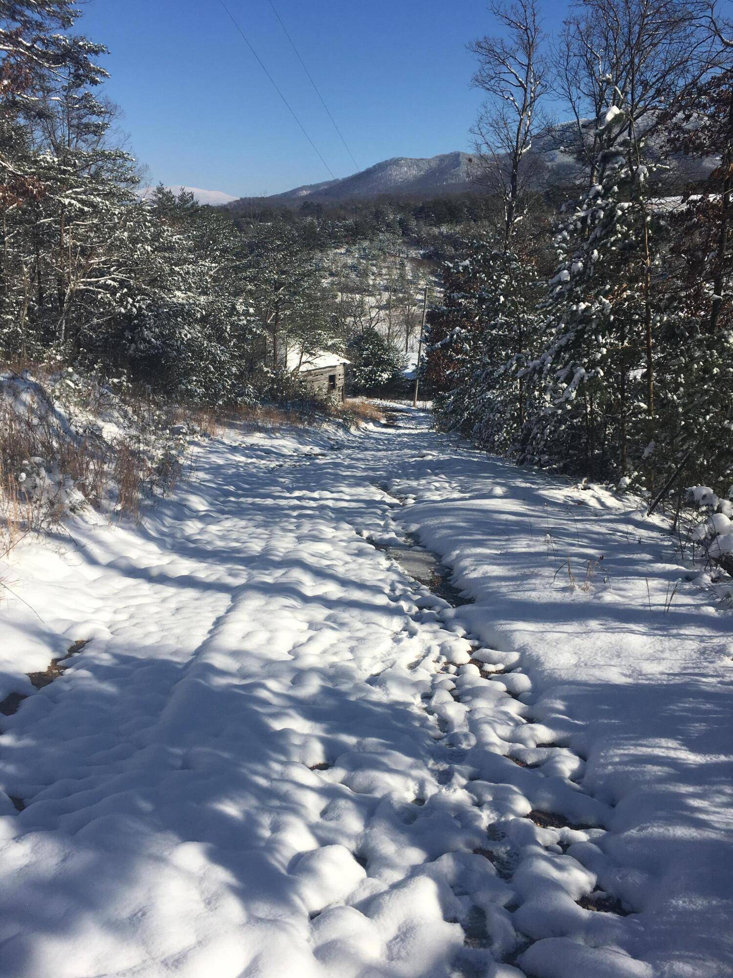 Greeneville, TN 37743,0 Little Meadow Creek RD