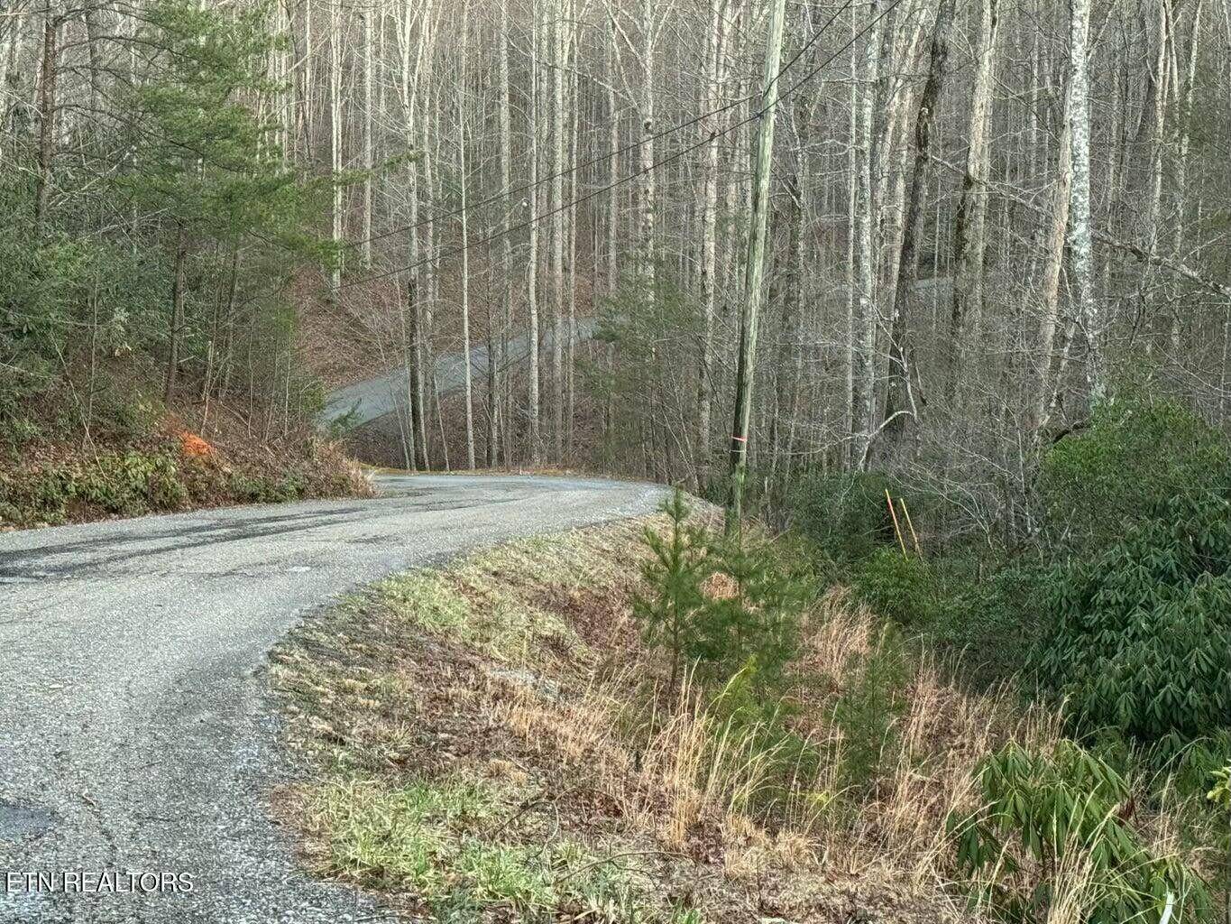 Gatlinburg, TN 37738,Lot 27 Pinnacle Vista RD