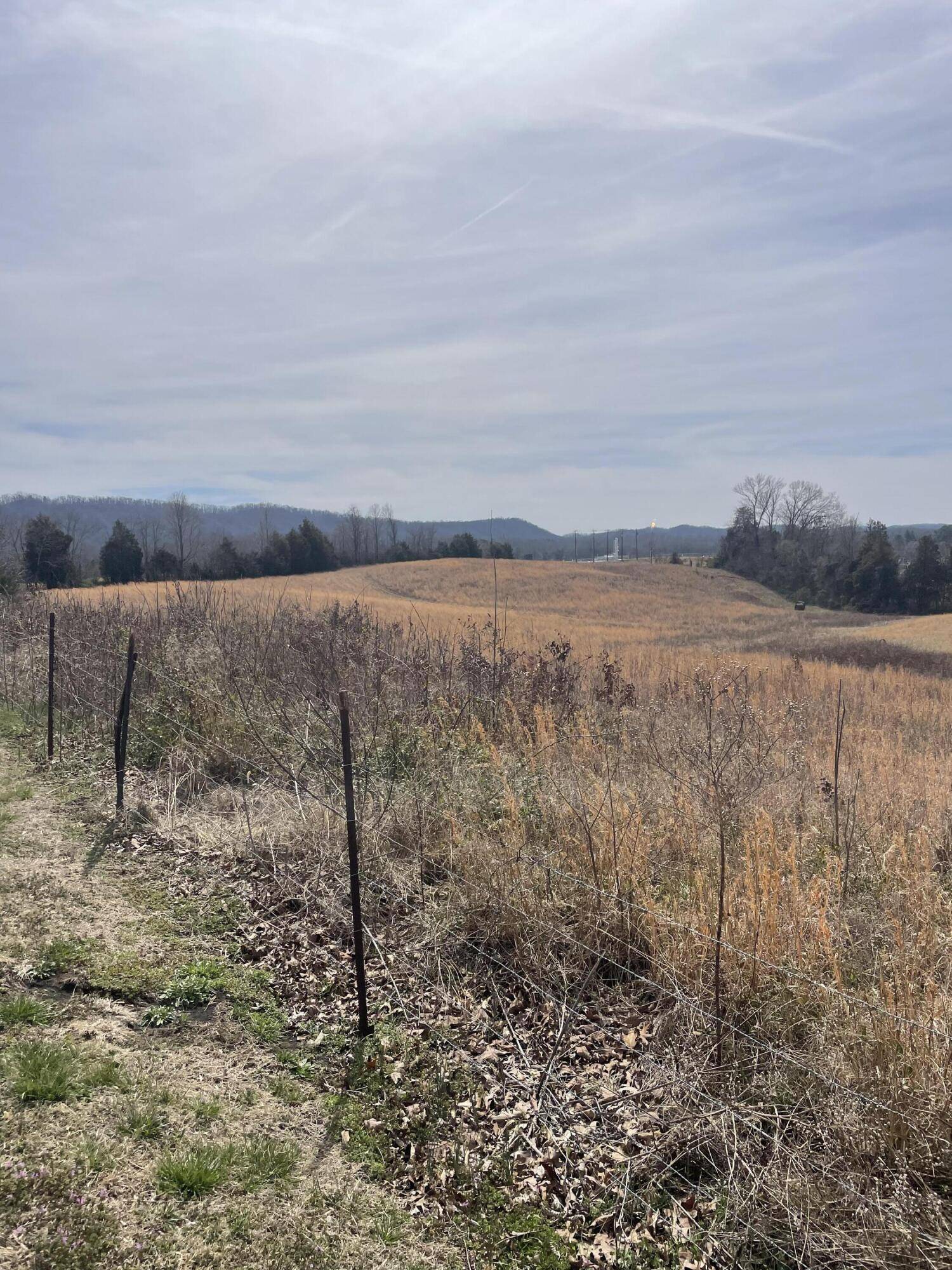 Bulls Gap, TN 37711,Lot 1 Wolfe Branch Road S