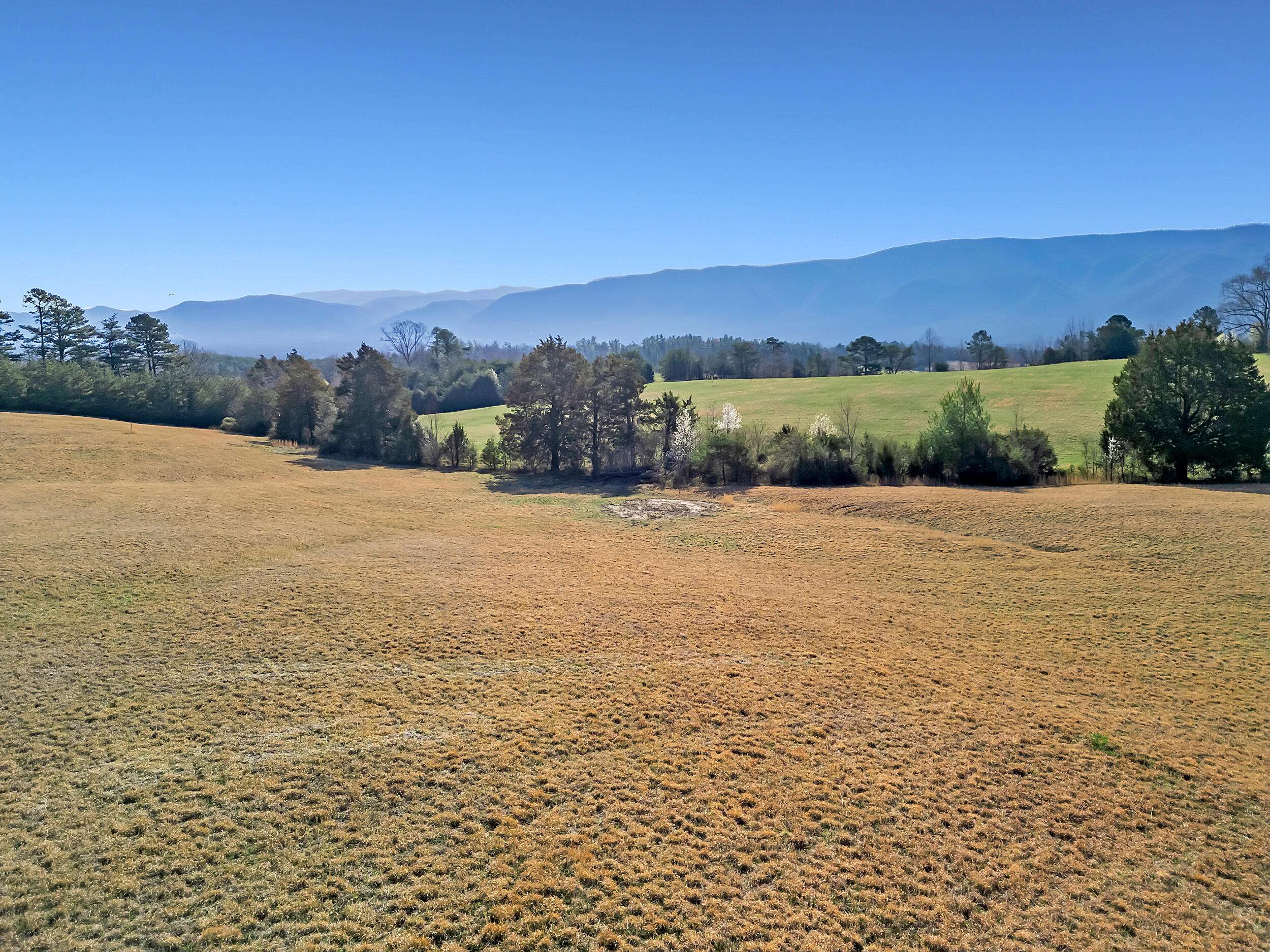 Greeneville, TN 37743,1090 Red Hill Rd Tract 2