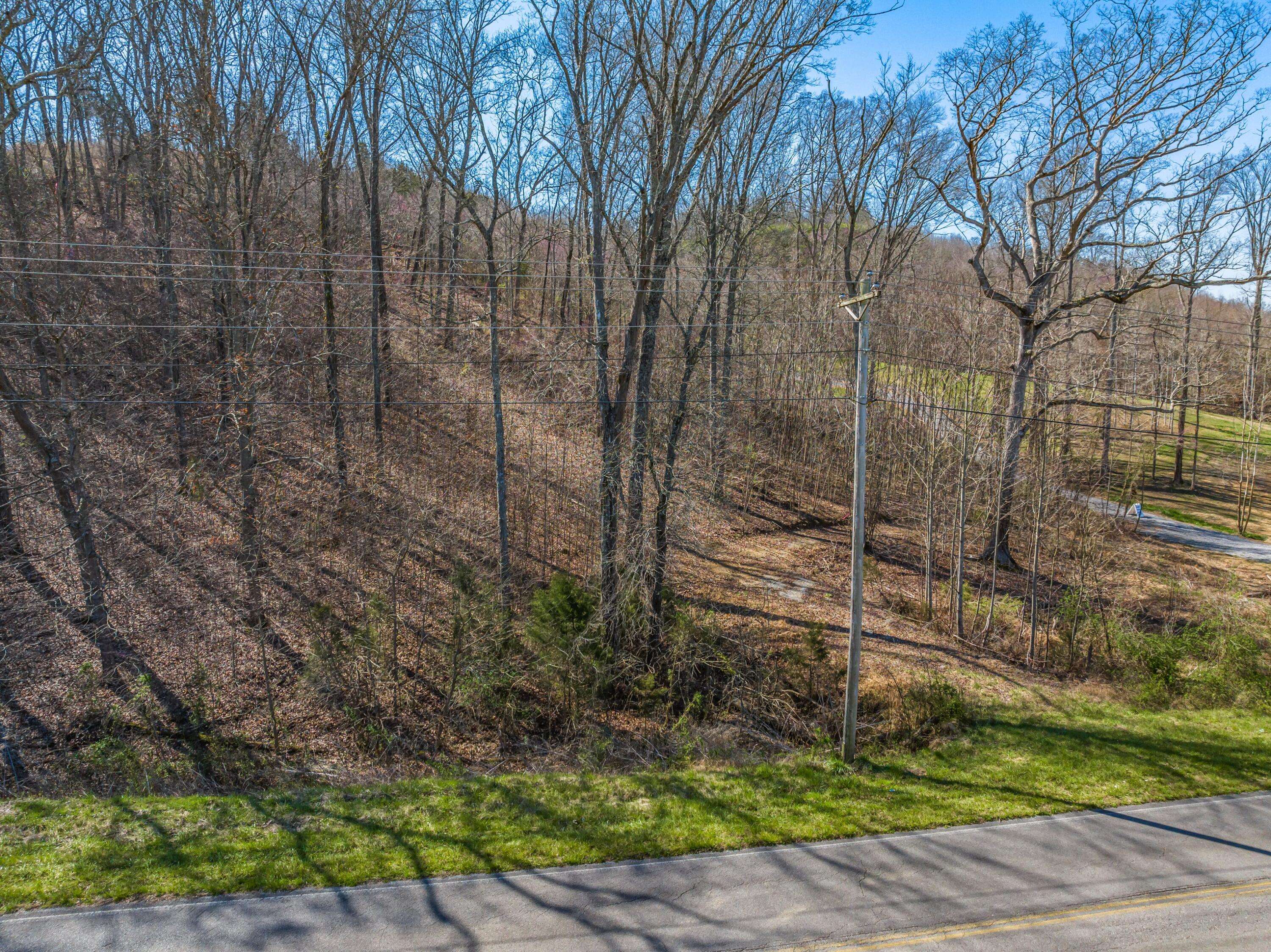 White Pine, TN 37890,0.93 Acre Nina RD