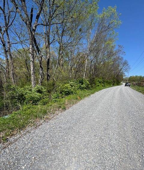 Newport, TN 37821,Lot 88R Oneil RD