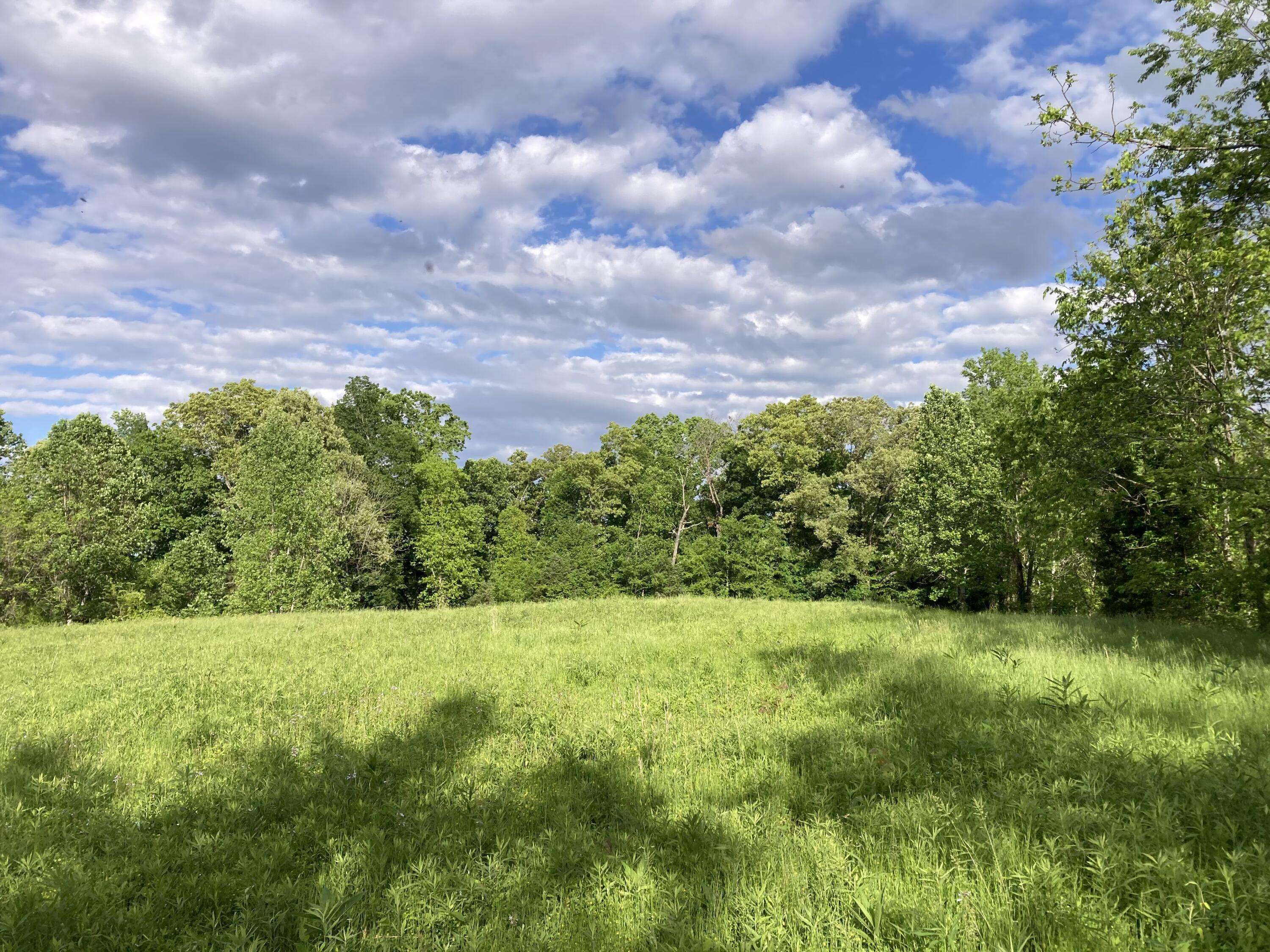 Midway, TN 37809,24.265 Mohawk RD