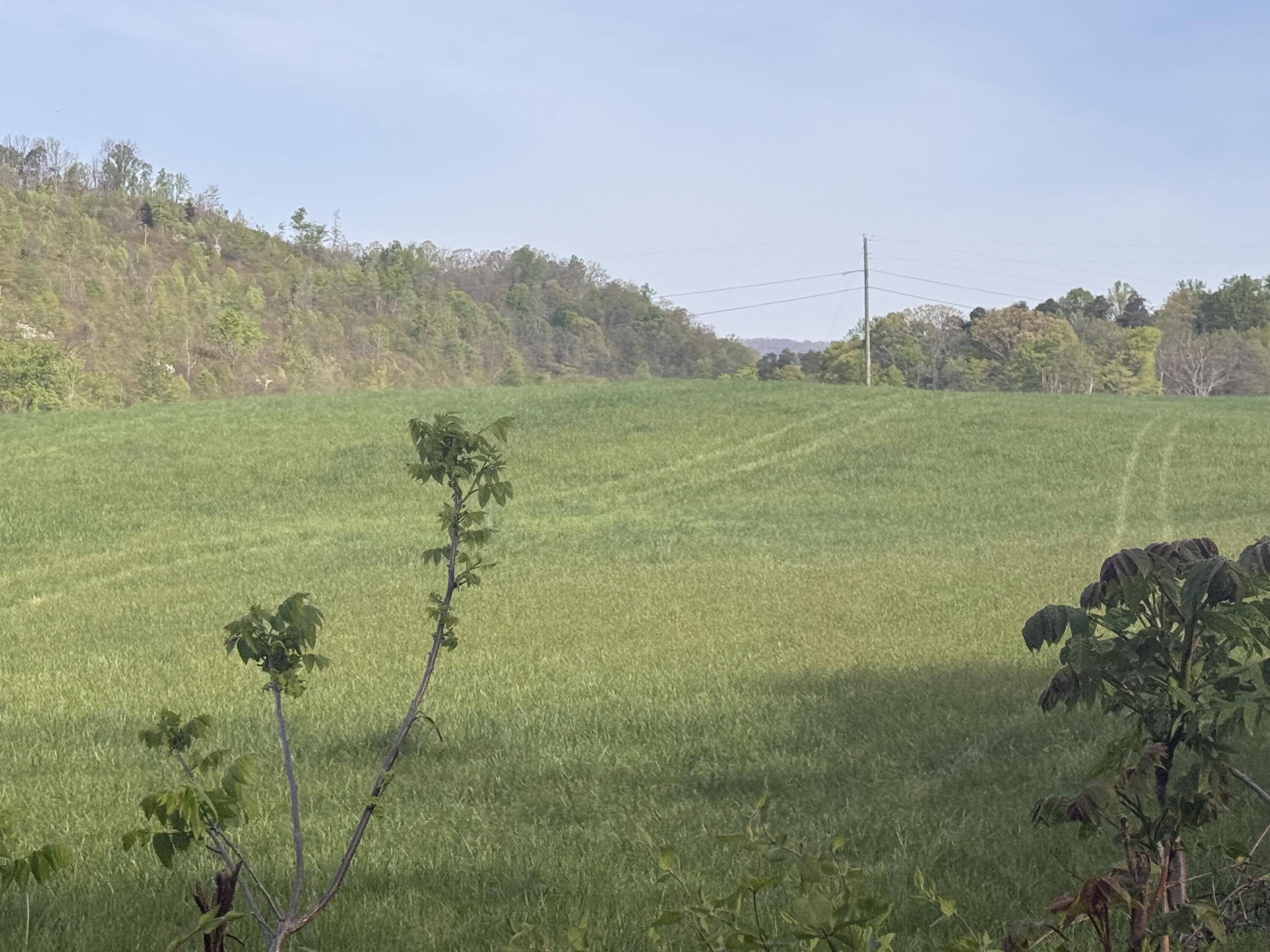 Rutledge, TN 37861,0 Lester Jarnigan RD