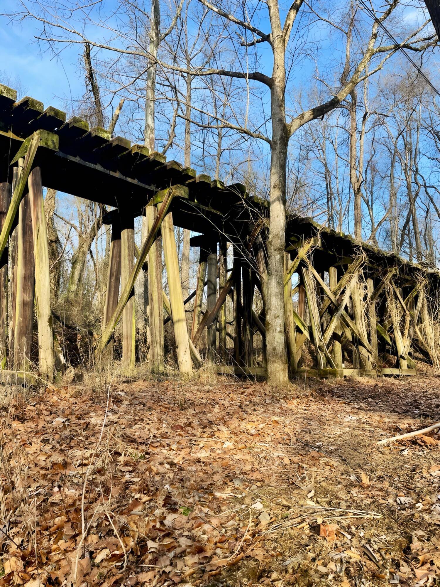 Duff, TN 37729,217 Saw Mill LN