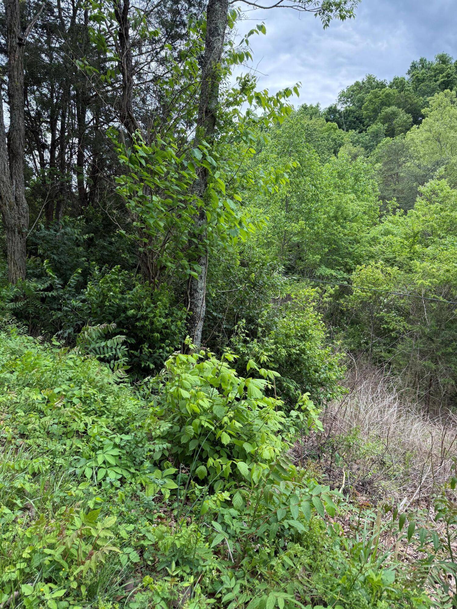 Talbott, TN 37877,0 Rushy Springs RD