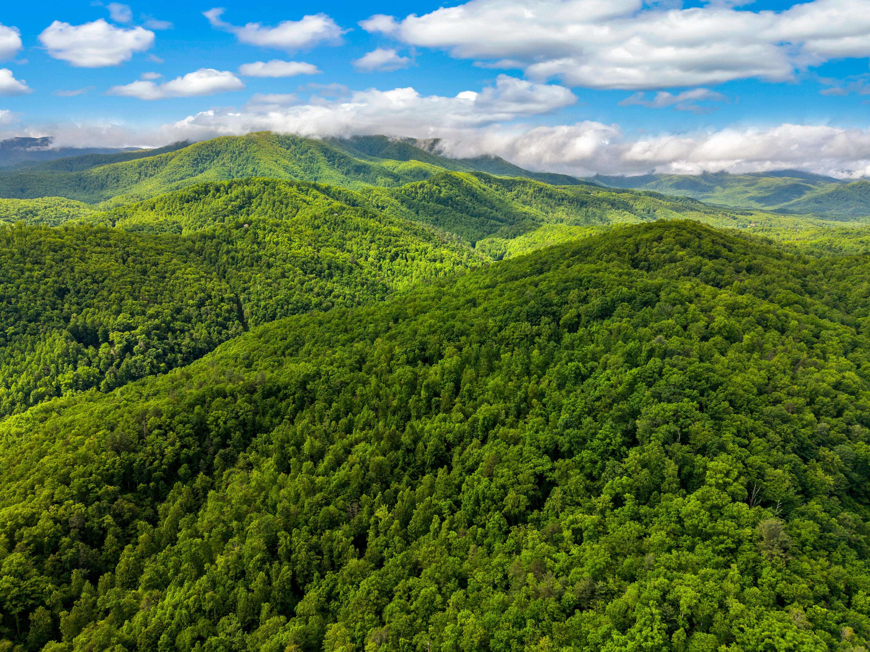 Hartford, TN 37753,000 TRAIL HOLLOW RD