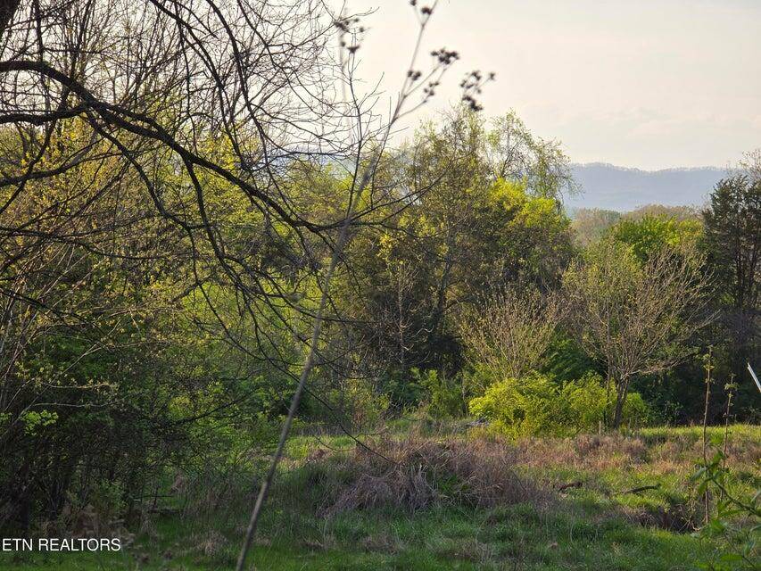 Morristown, TN 37814,TBD Boatmans Mountain LOT 2 RD