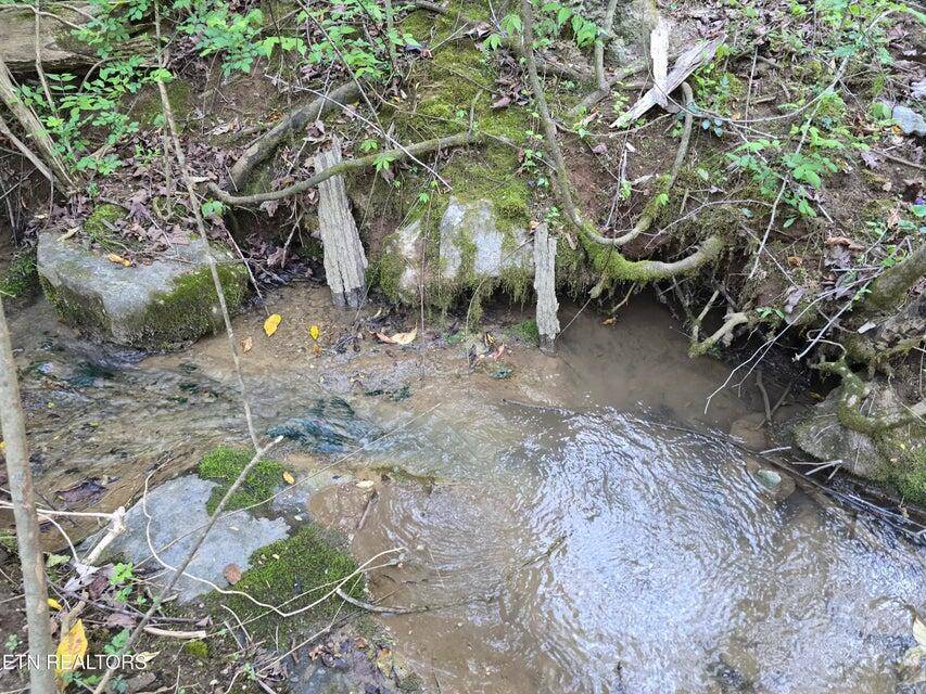 Morristown, TN 37814,TBD Boatmans Mountain LOT 2 RD