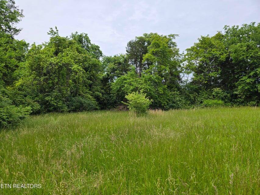 Morristown, TN 37814,tbd LOT 1 Boatmans Mountain RD