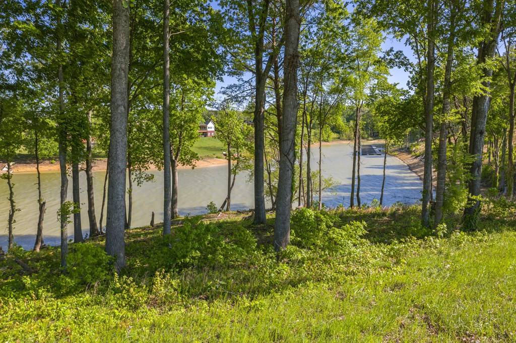 Baneberry, TN 37890,Lot 41 English Mountain PT
