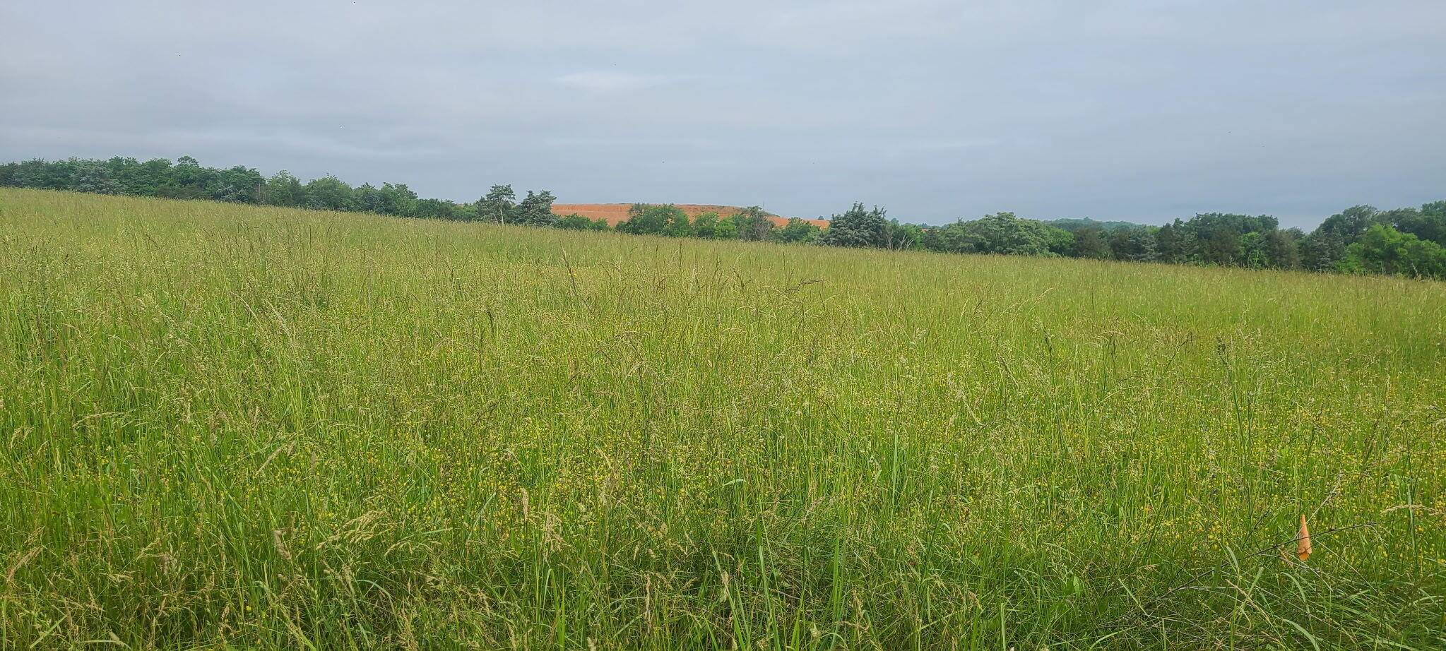 Dandridge, TN 37725,Lot 5 Valley Home RD