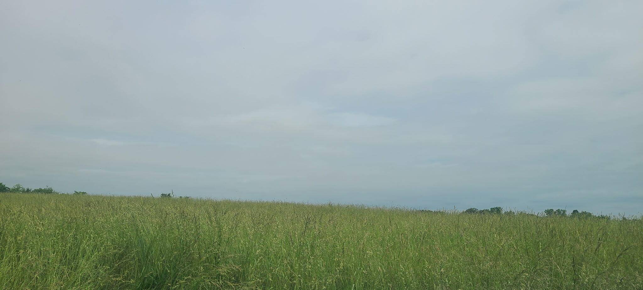 Dandridge, TN 37725,Lot 5 Valley Home RD