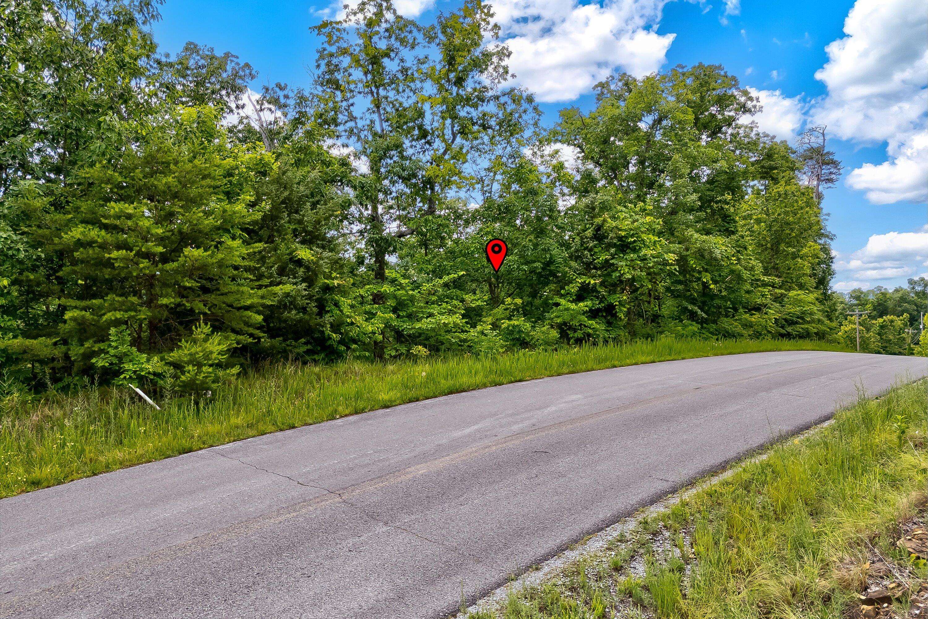 Dandridge, TN 37725,Lot 111 Tranquility TRL