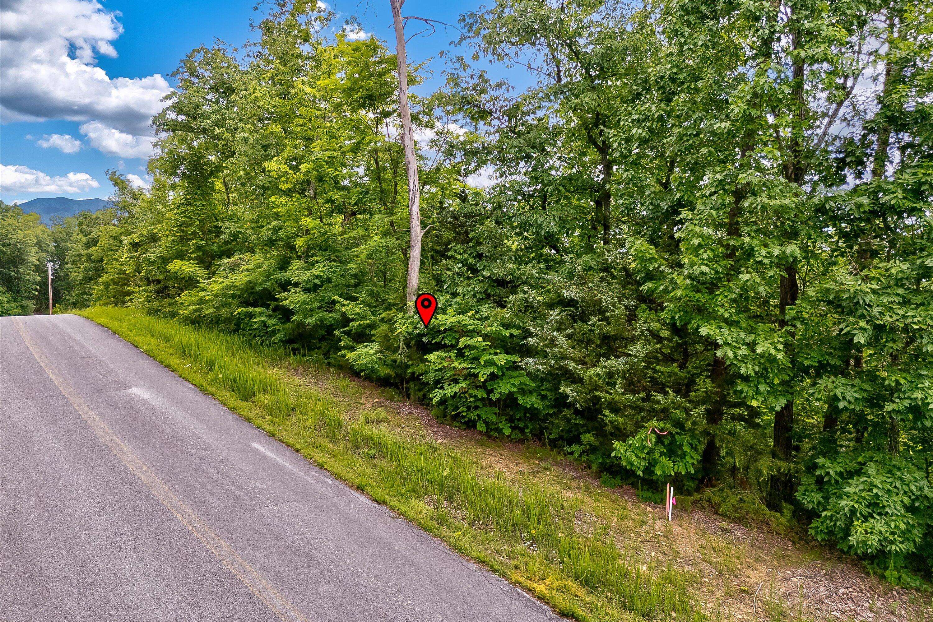 Dandridge, TN 37725,Lot 111 Tranquility TRL