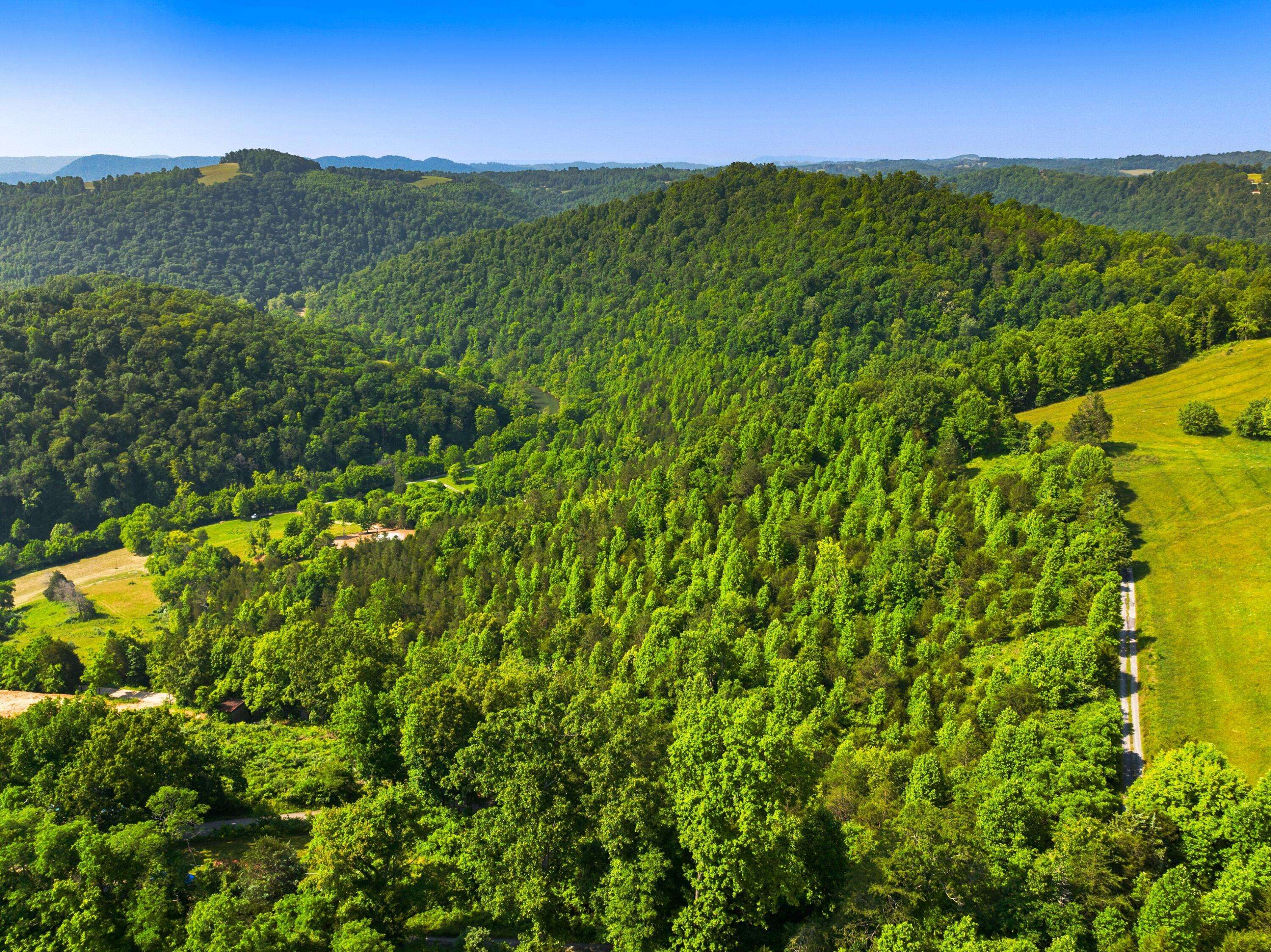 Harrogate, TN 37752,0 Cosby Ridge Road