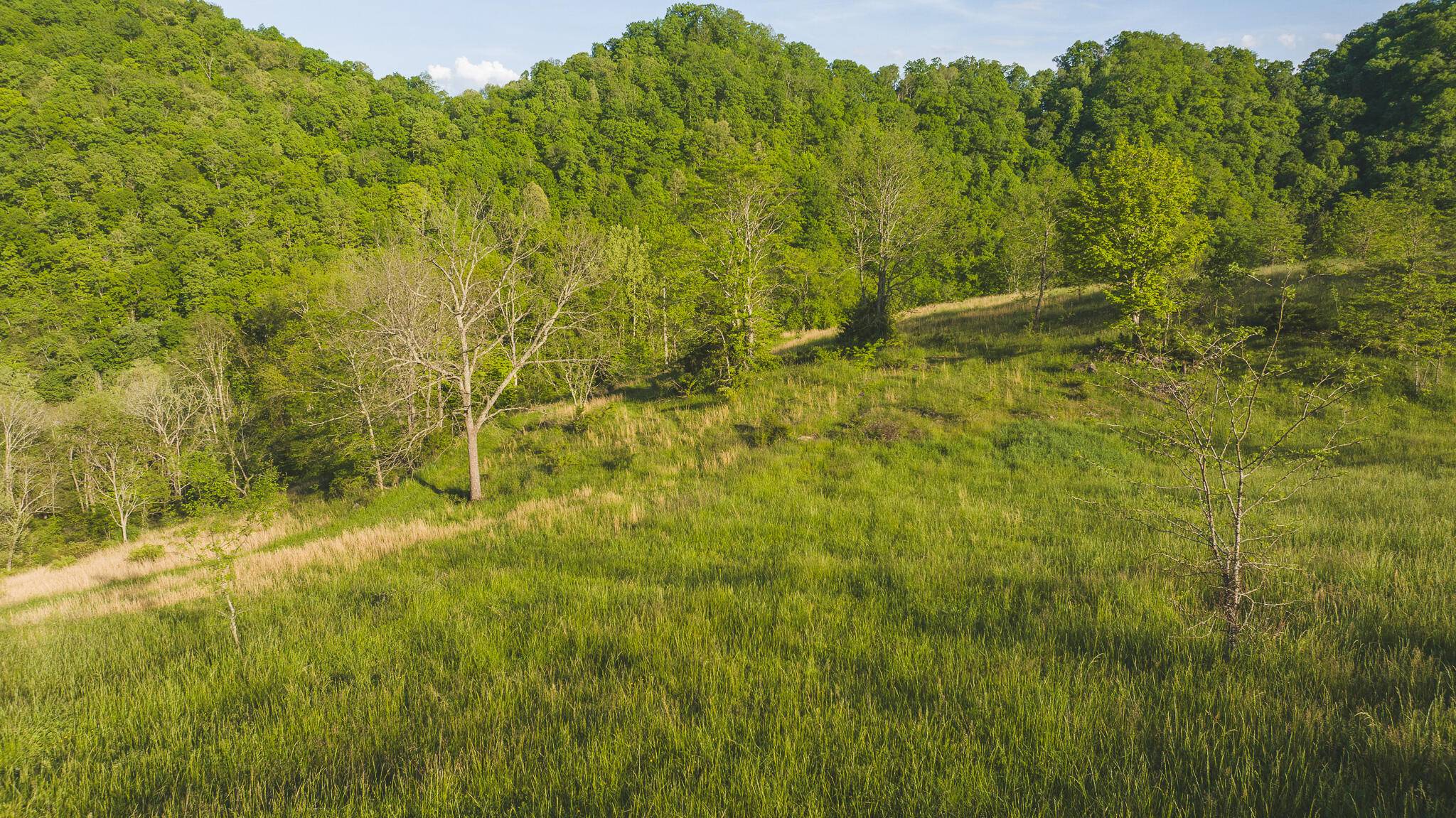 Eidson, TN 37731,Lots 9 Big Springs RD