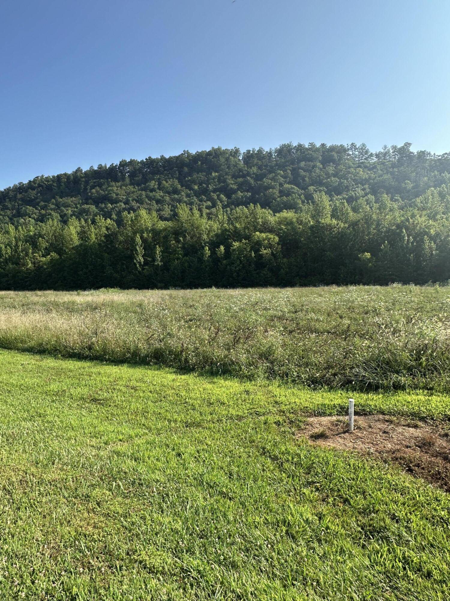Del Rio, TN 37727,lot 147 River Rapids WAY
