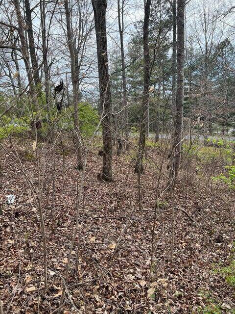 Morristown, TN 37814,4214/4224 Rambling RD