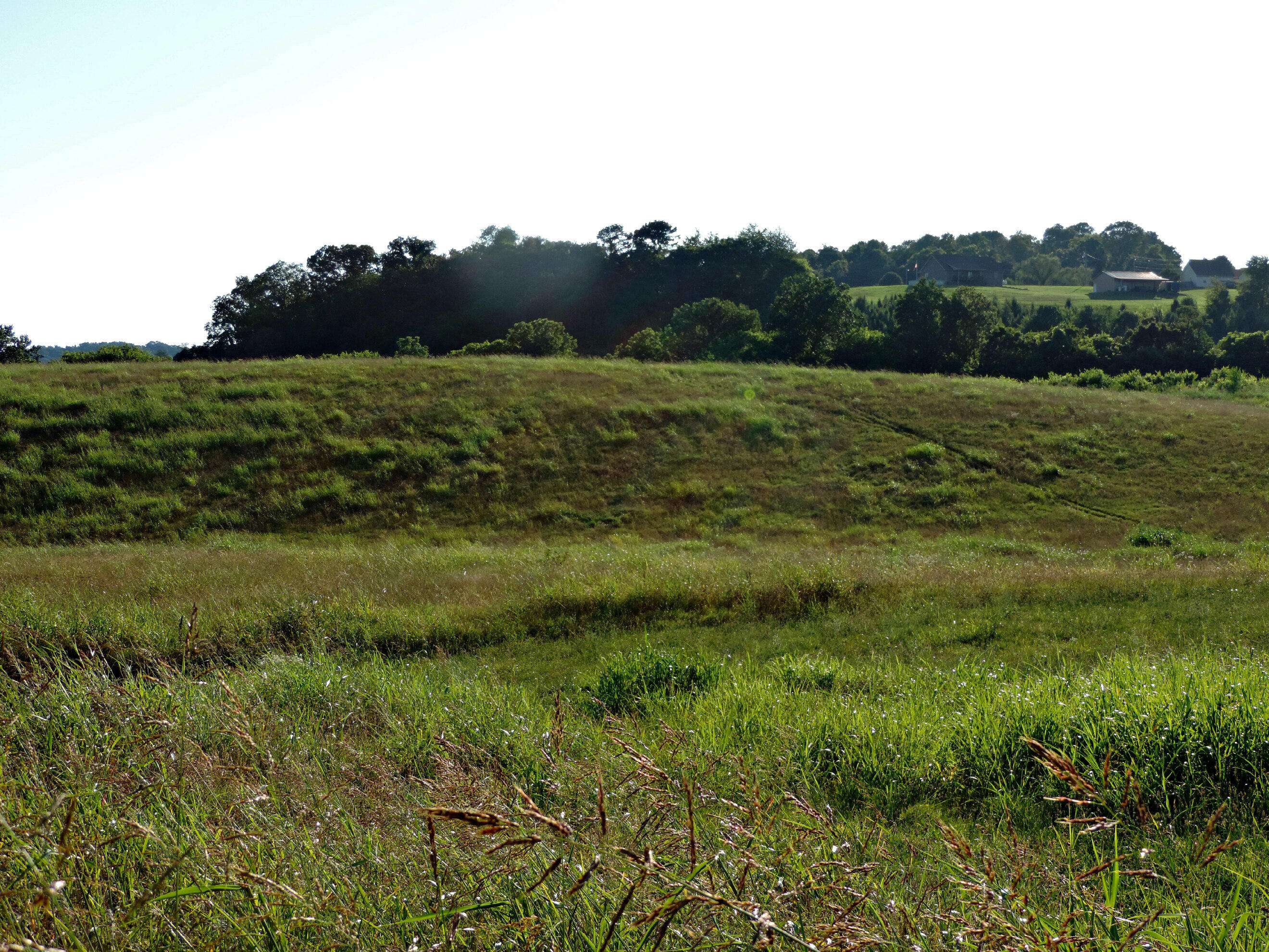 Rutledge, TN 37861,1560 Howell River RD