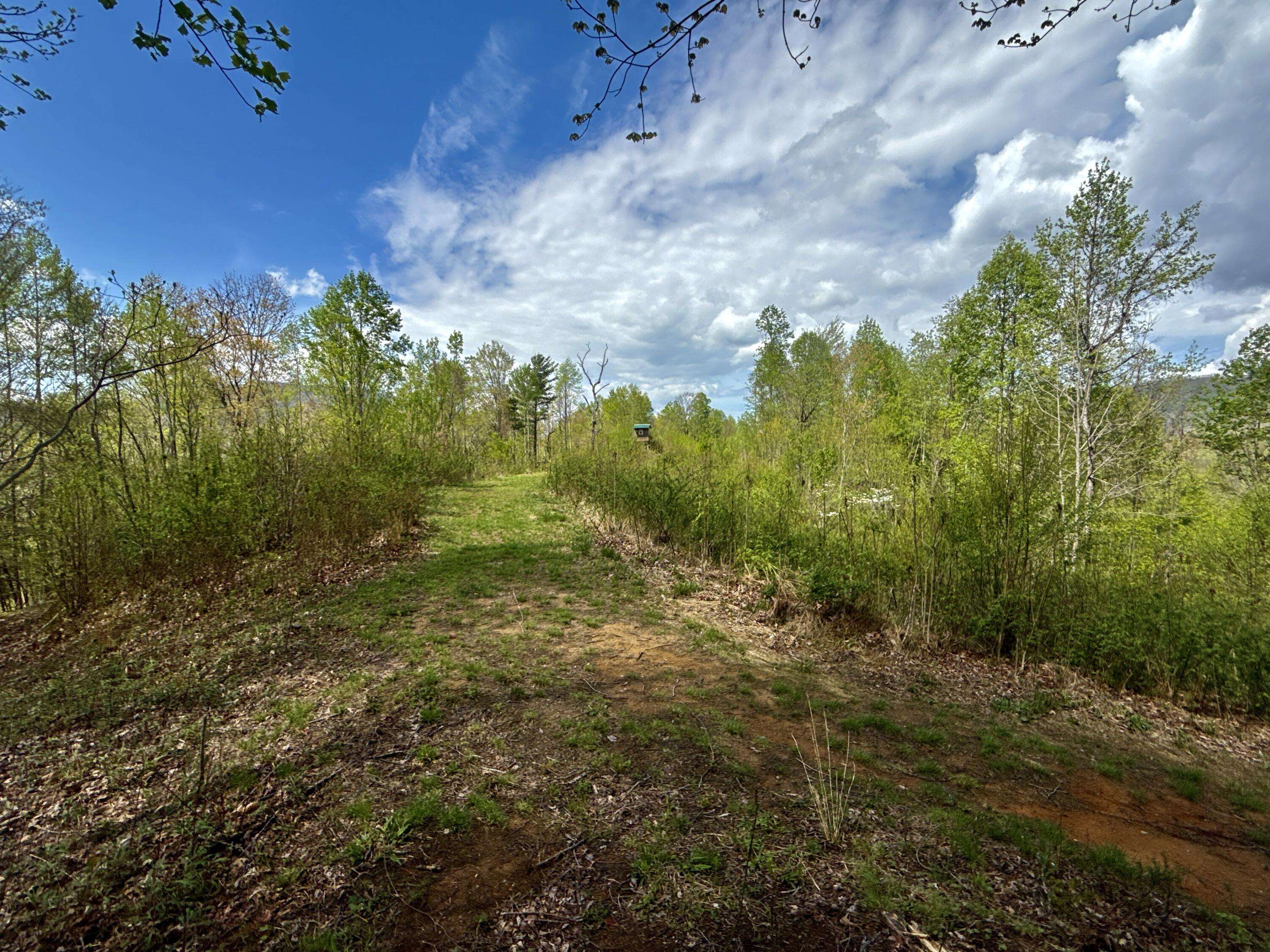 Unicoi, TN 37692,19/AC TBD Edith Gouge RD