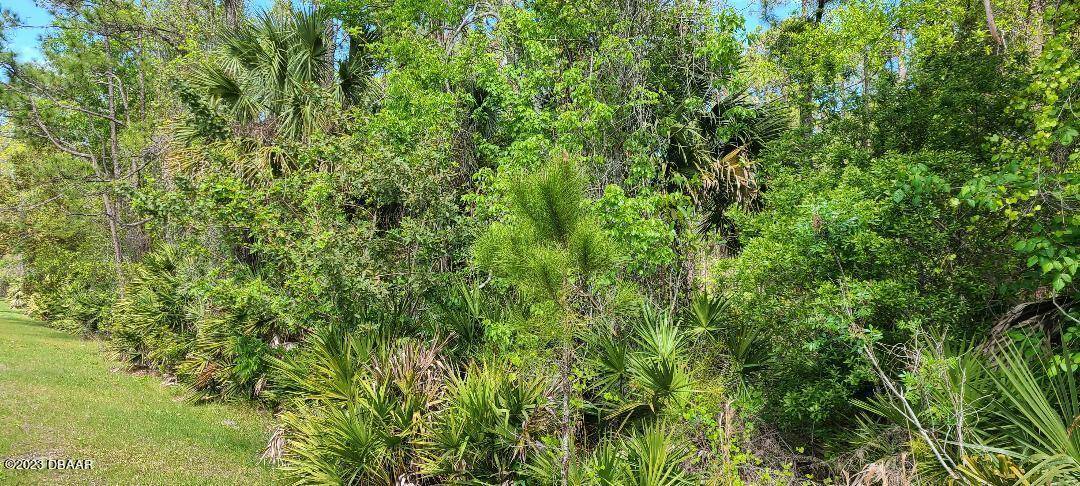 Ormond Beach, FL 32174,491 Pineland TRL