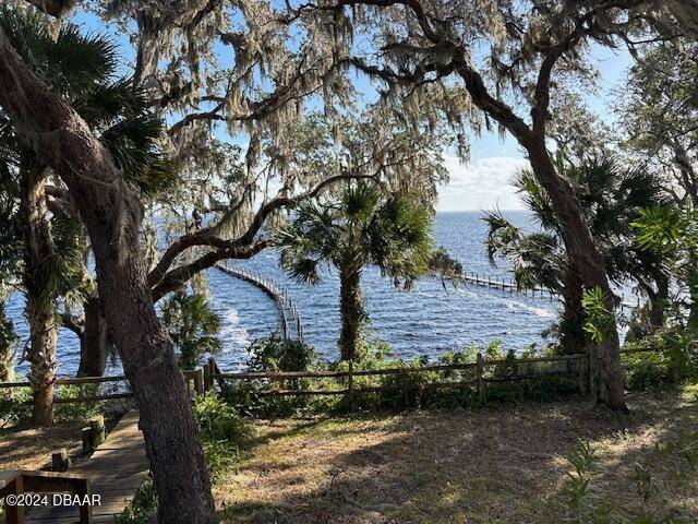 Salt Springs, FL 32134,7827 310th AVE