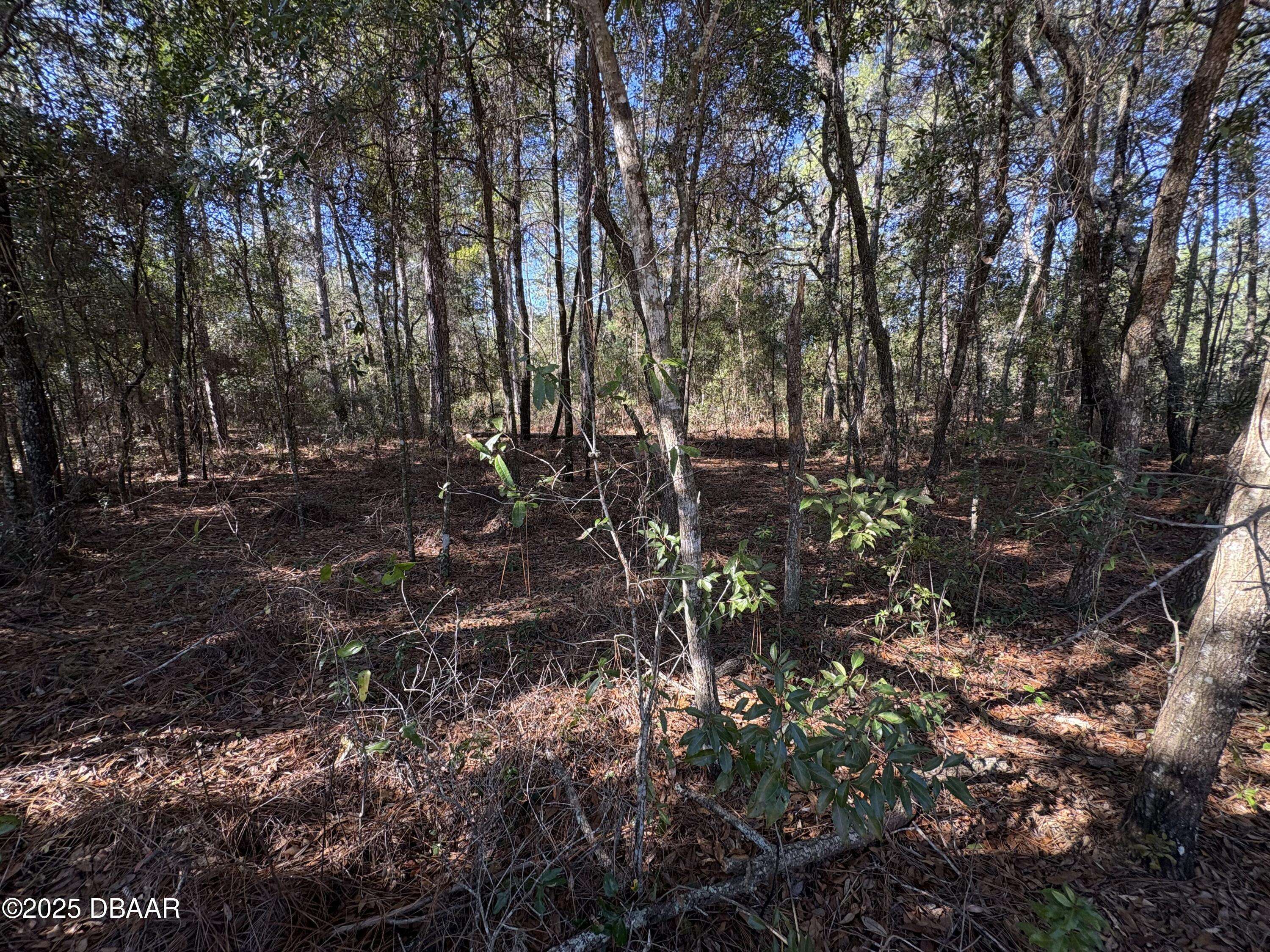 Interlachen, FL 32148,431 Brett AVE